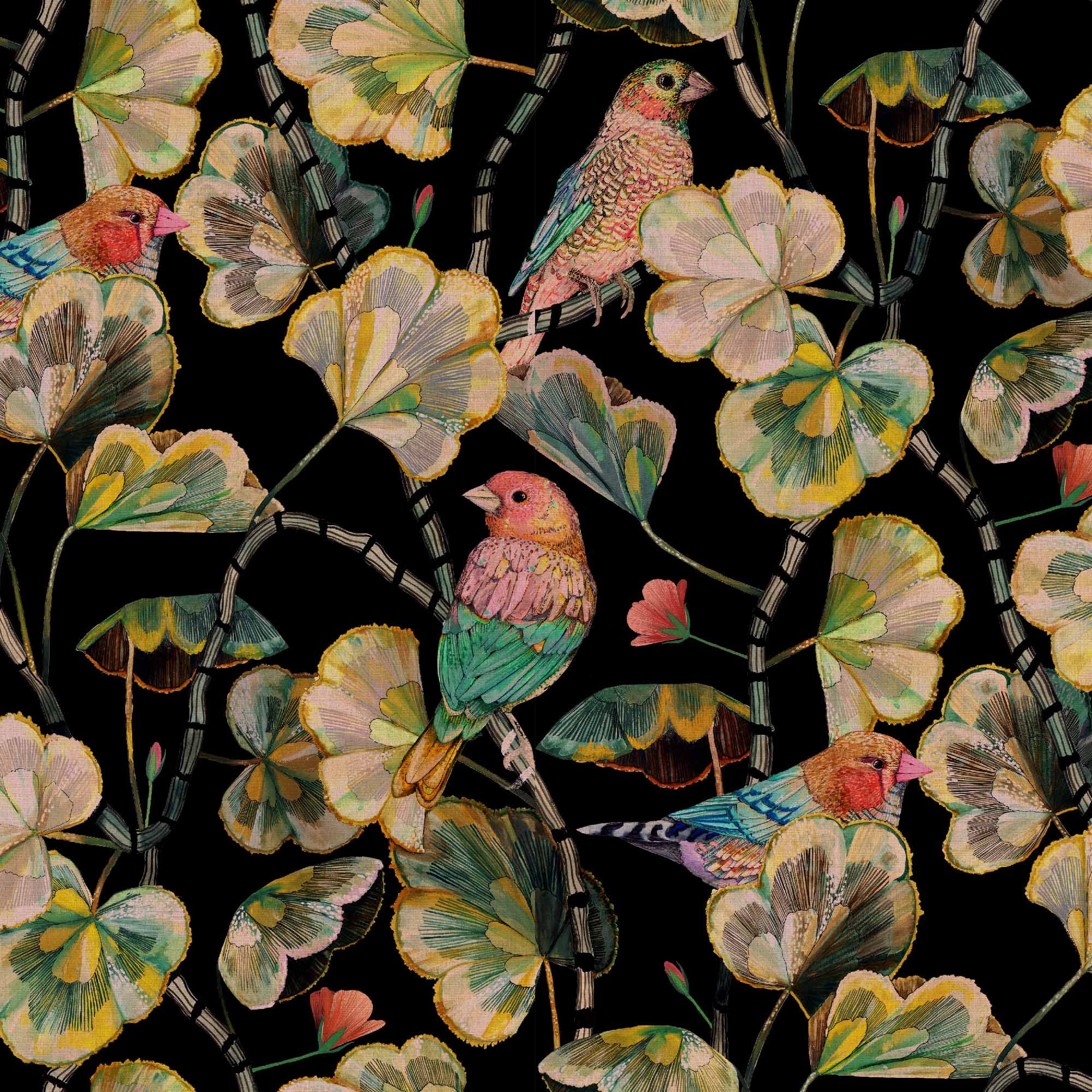 Darwin's Glasshouse - Moon