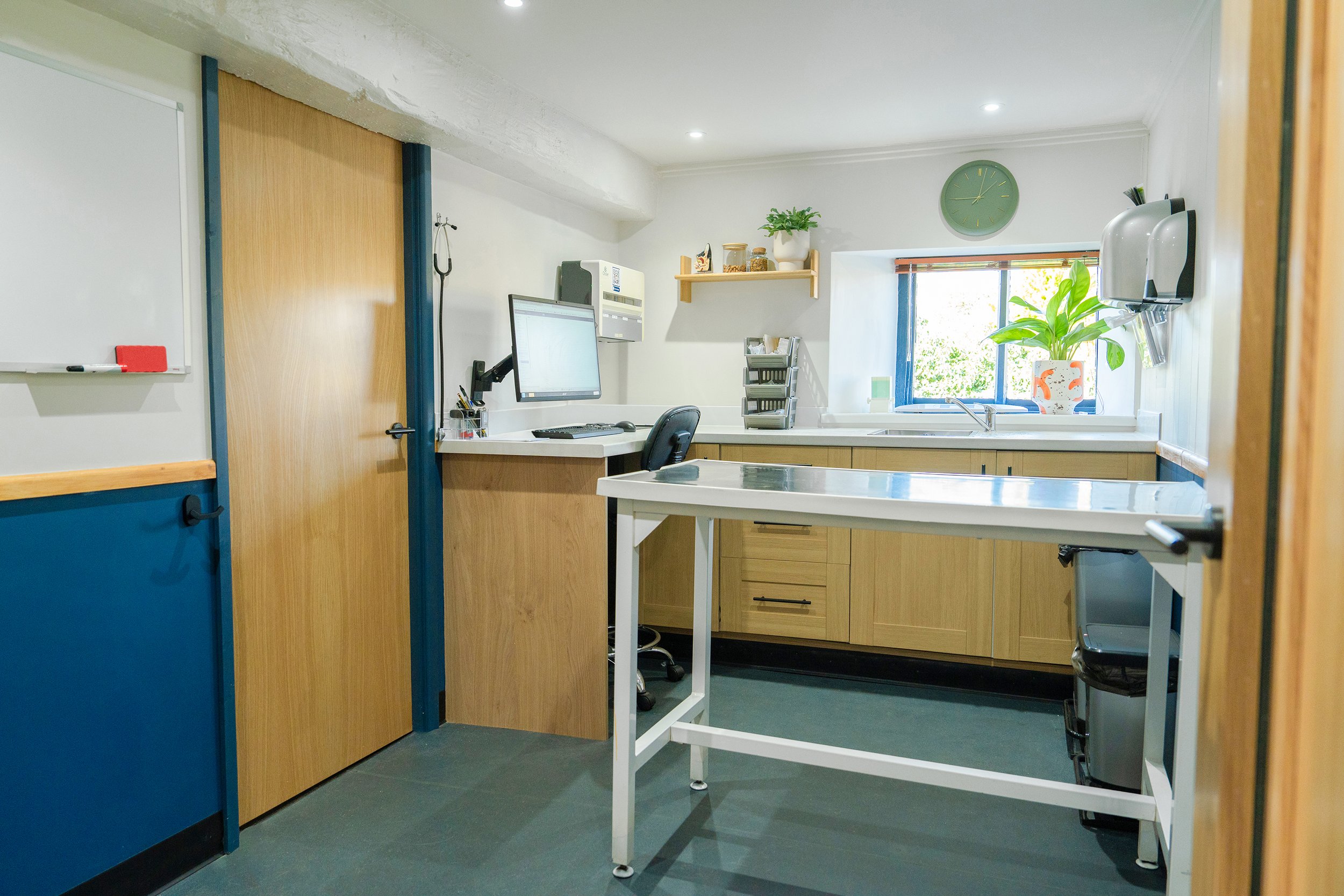 Modern veterinary consultation room at Malthouse Vets featuring warm timber cabinetry, clinical workspace design, and a calm pet-friendly environment.