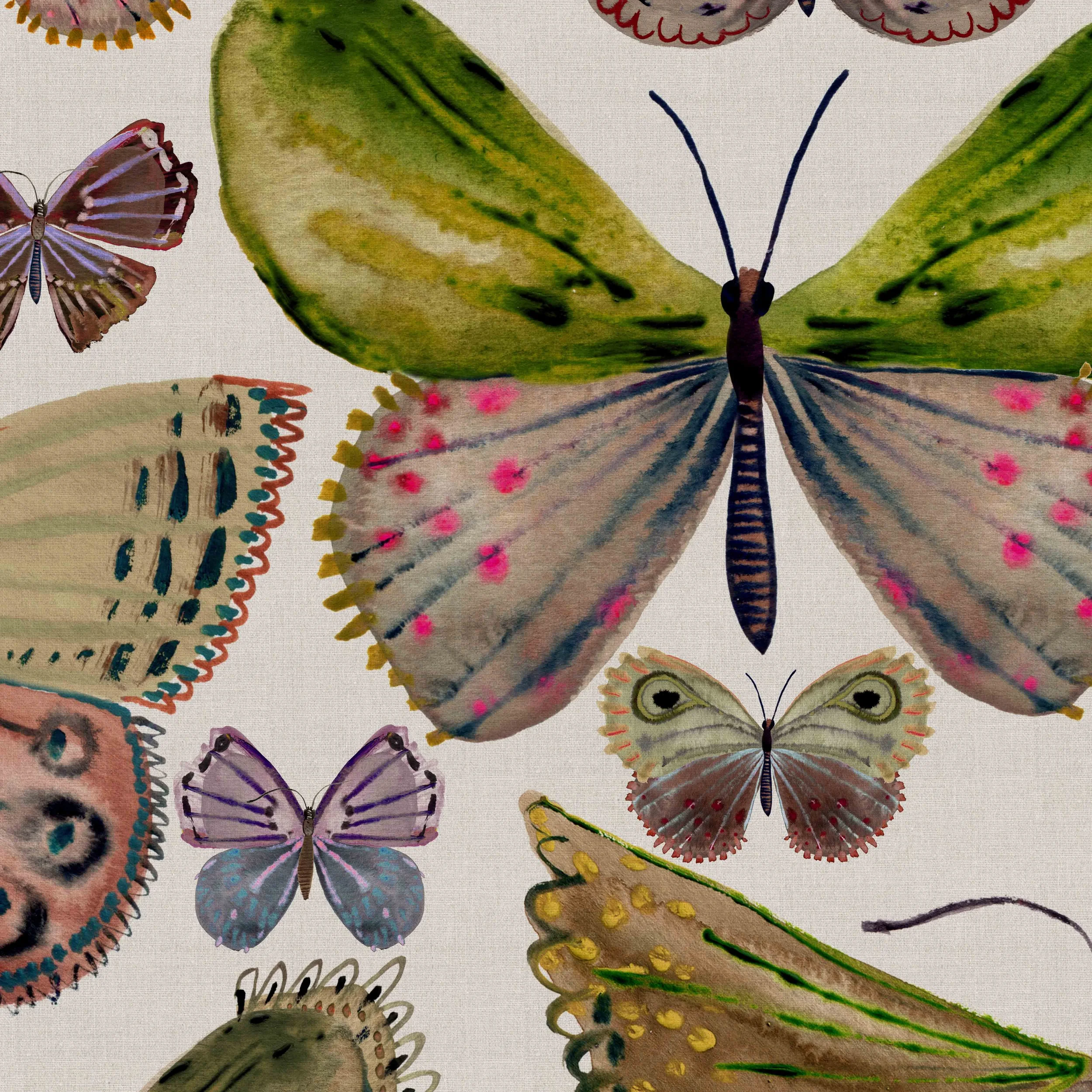 NORFOLK BUTTERFLIES web ready.jpg