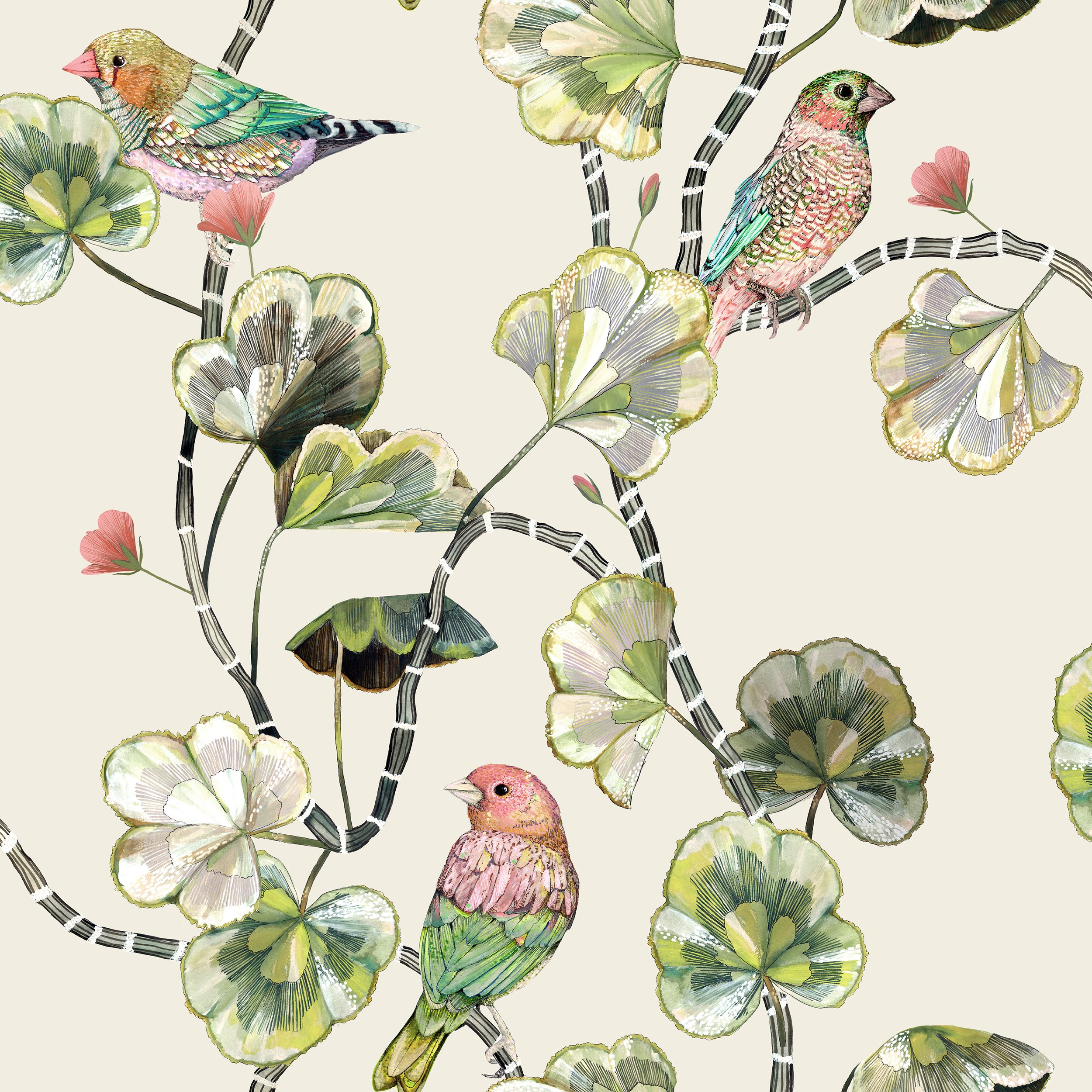 Darwin's Glasshouse - Sun