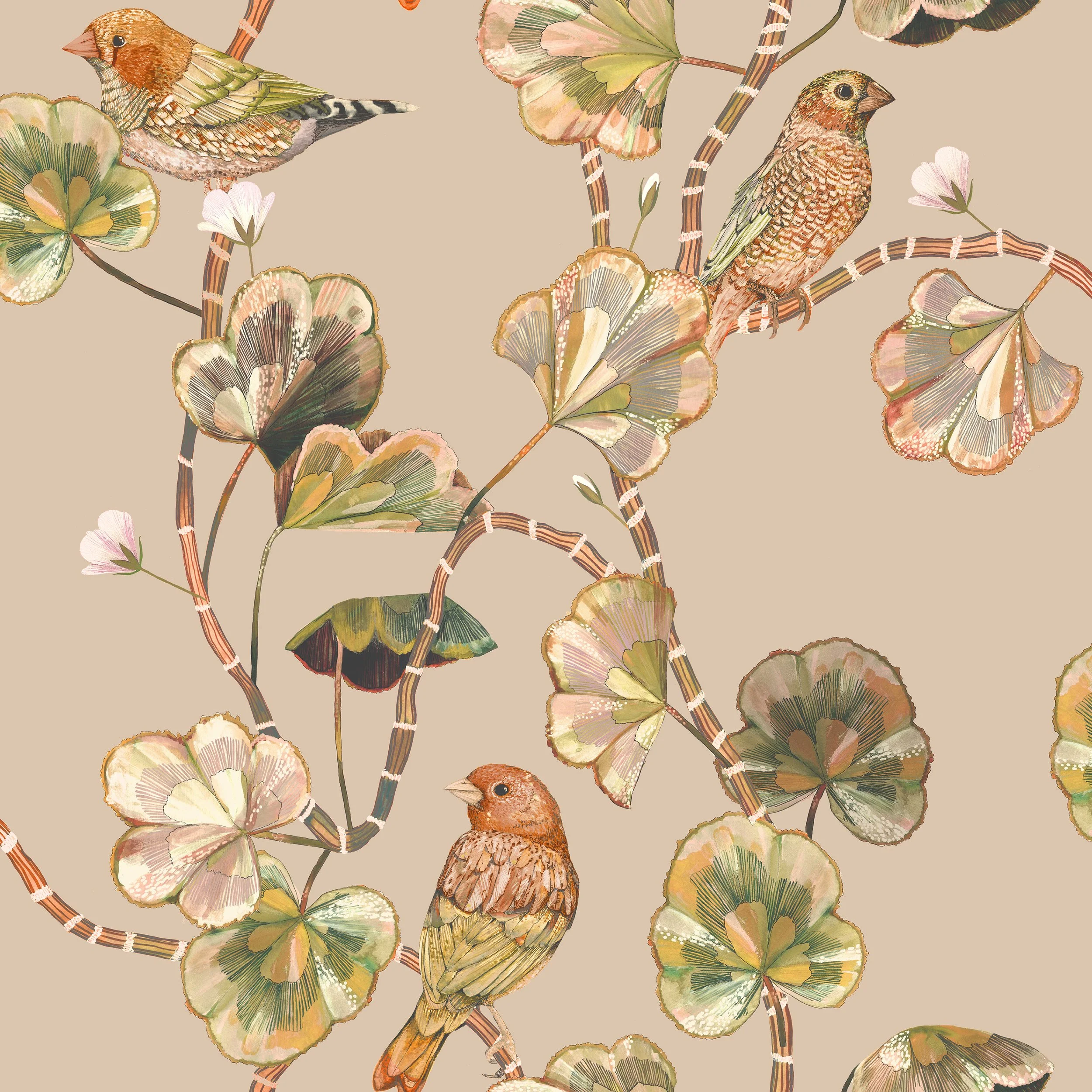 Darwin's Glasshouse - Sunrise