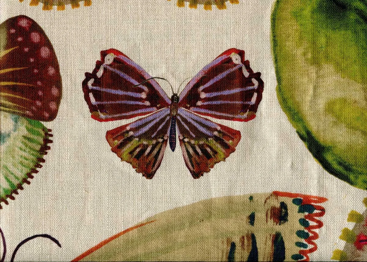 NORFOLK-BUTTERFLIES-photo-2-web-ready.jpg