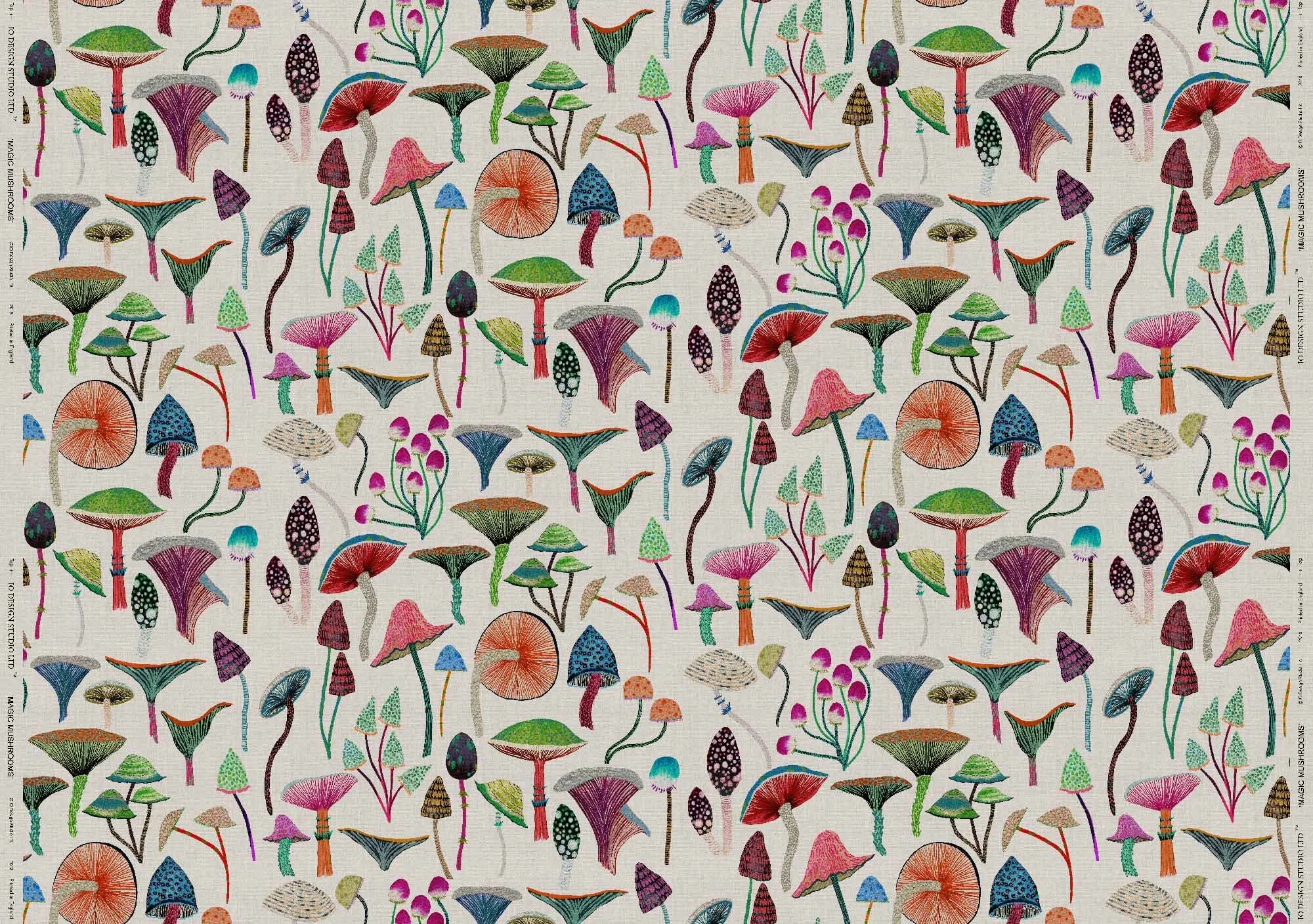 MAGIC MUSHROOMS full width web ready.jpg