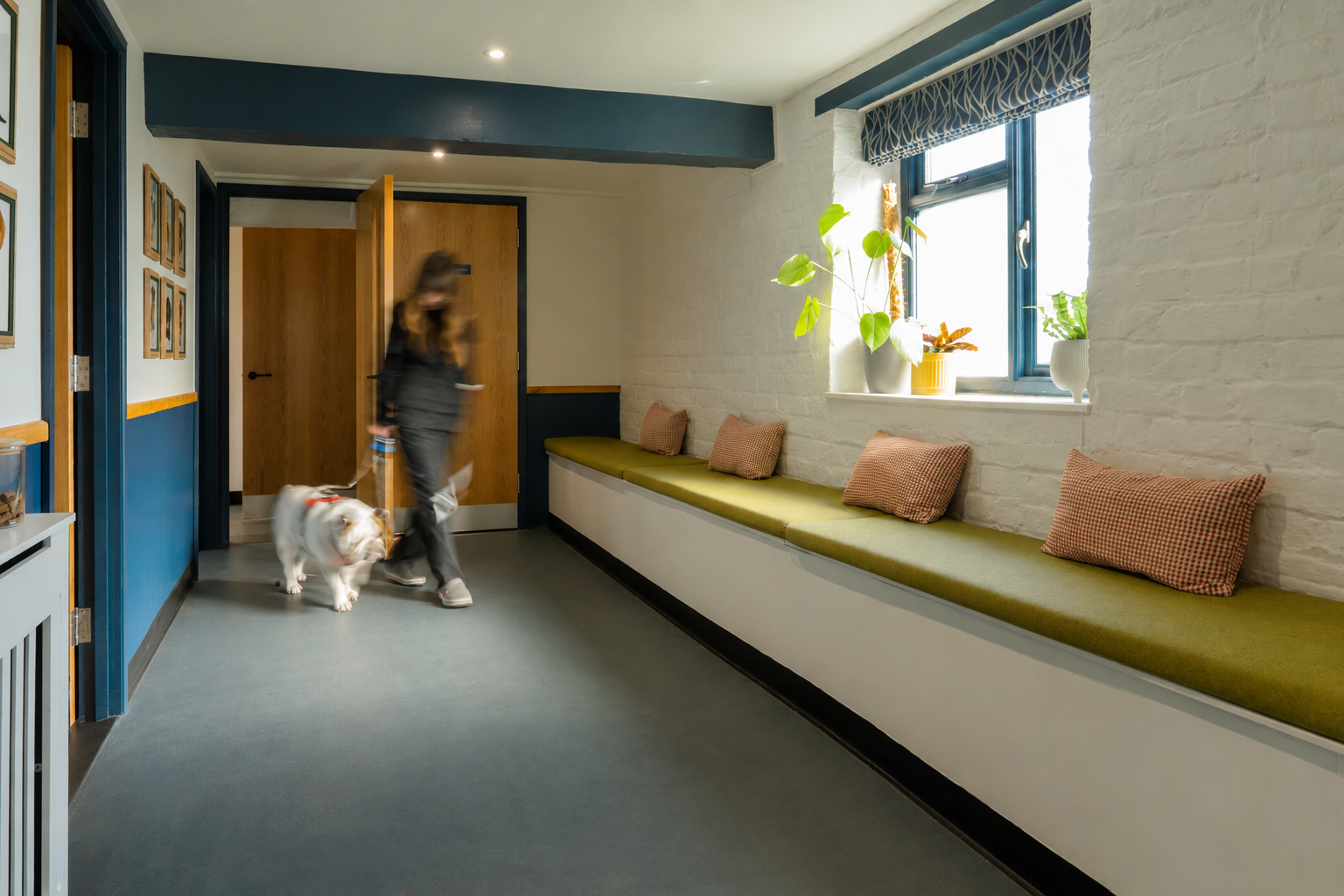 Spacious pet-friendly corridor at Malthouse Vets featuring integrated seating, soft natural light, and calming contemporary design details.