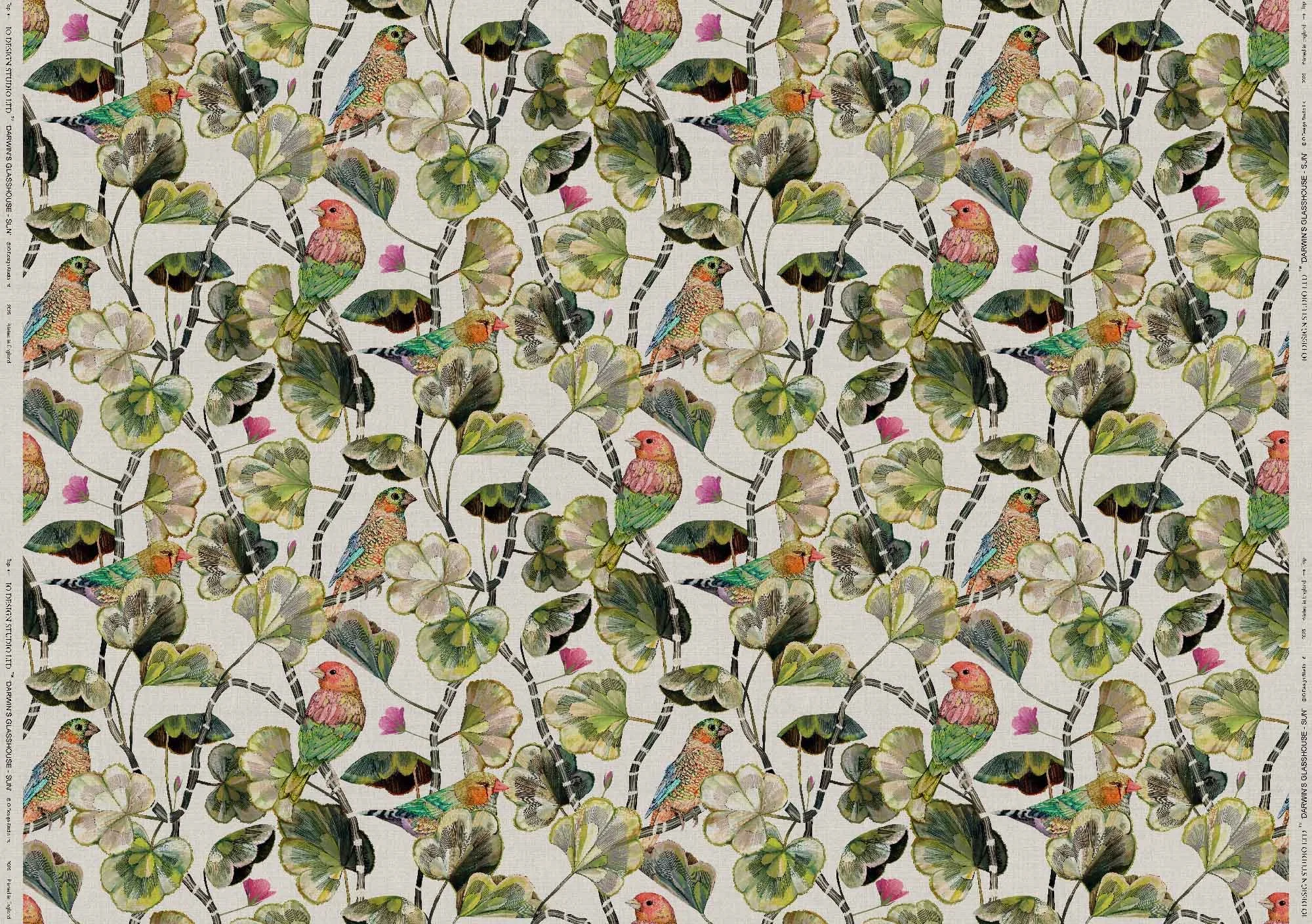 DARWIN'S GLASSHOUSE SUN full width web ready.jpg