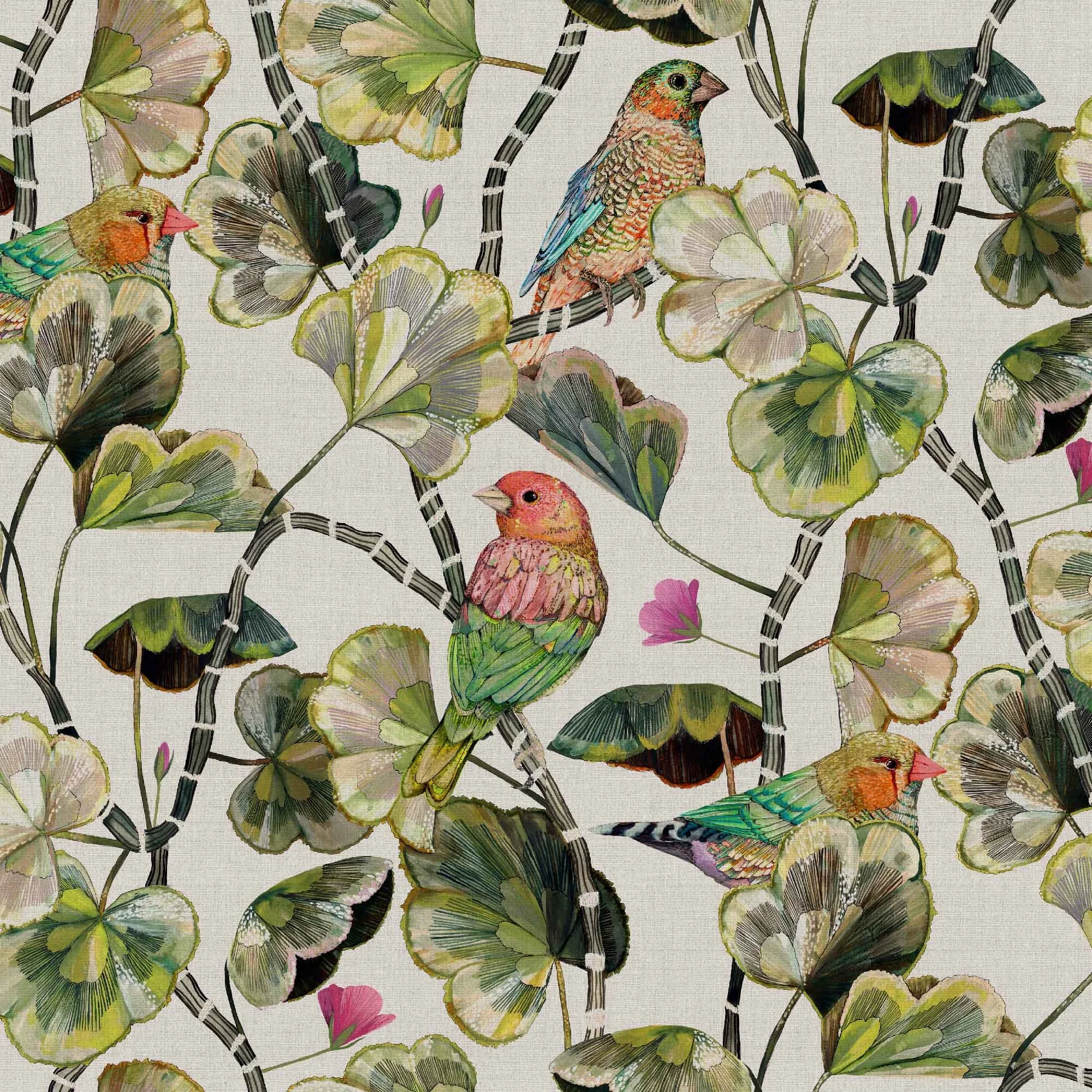 Darwin's Glasshouse - Sun