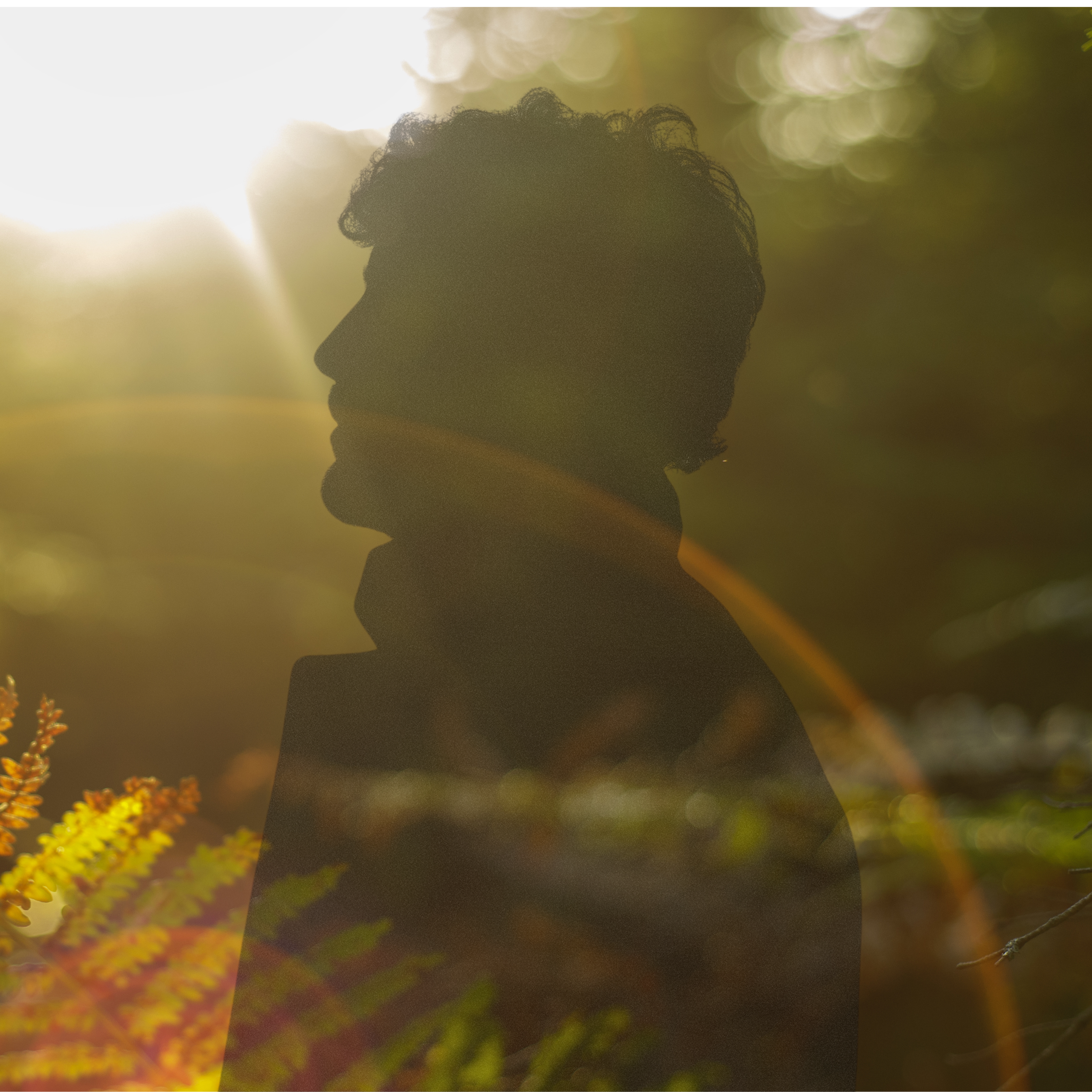 Overlayed images, one of a man's  looking up to the sky and the other image is of a woodland scene with a fern leaf in the foreground and sun rise in the top left corner