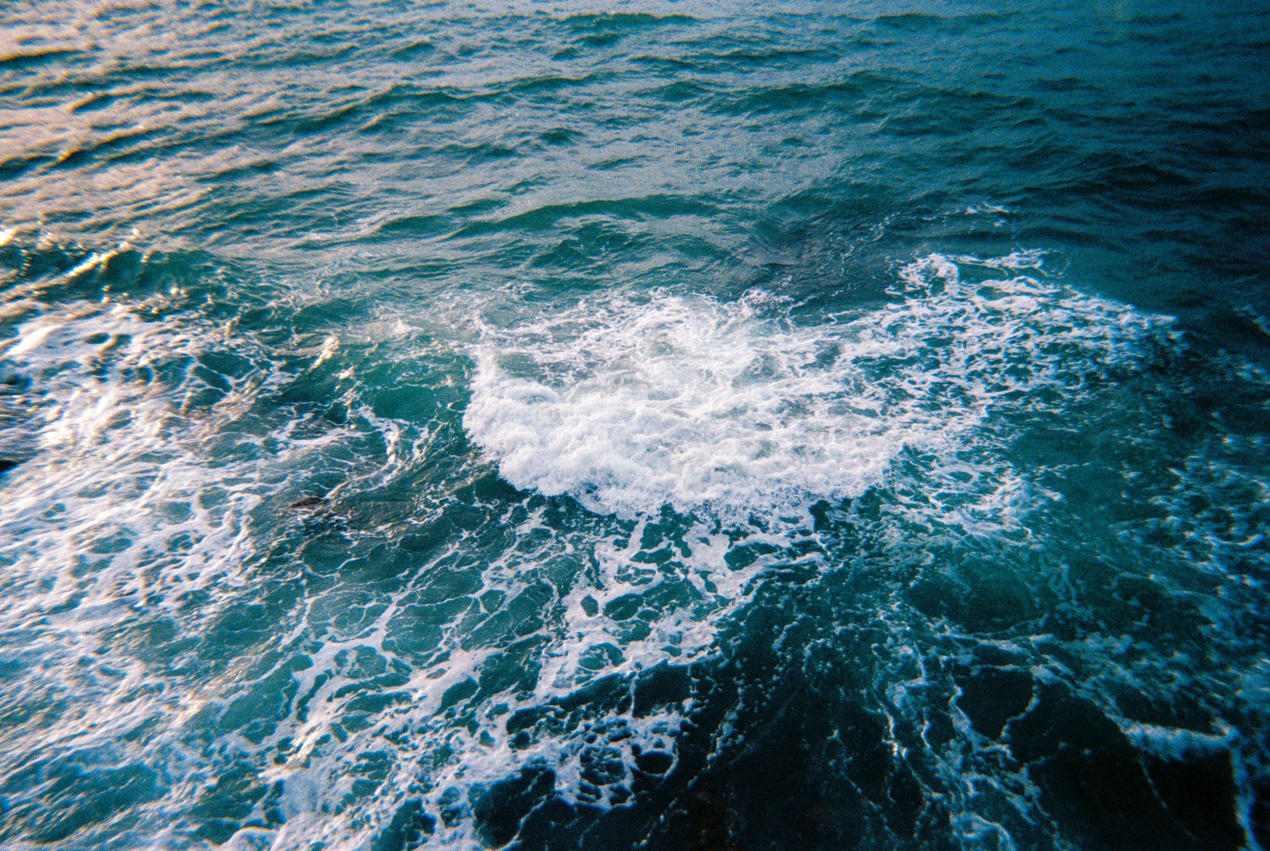 France detail shot film photography at sea.jpg