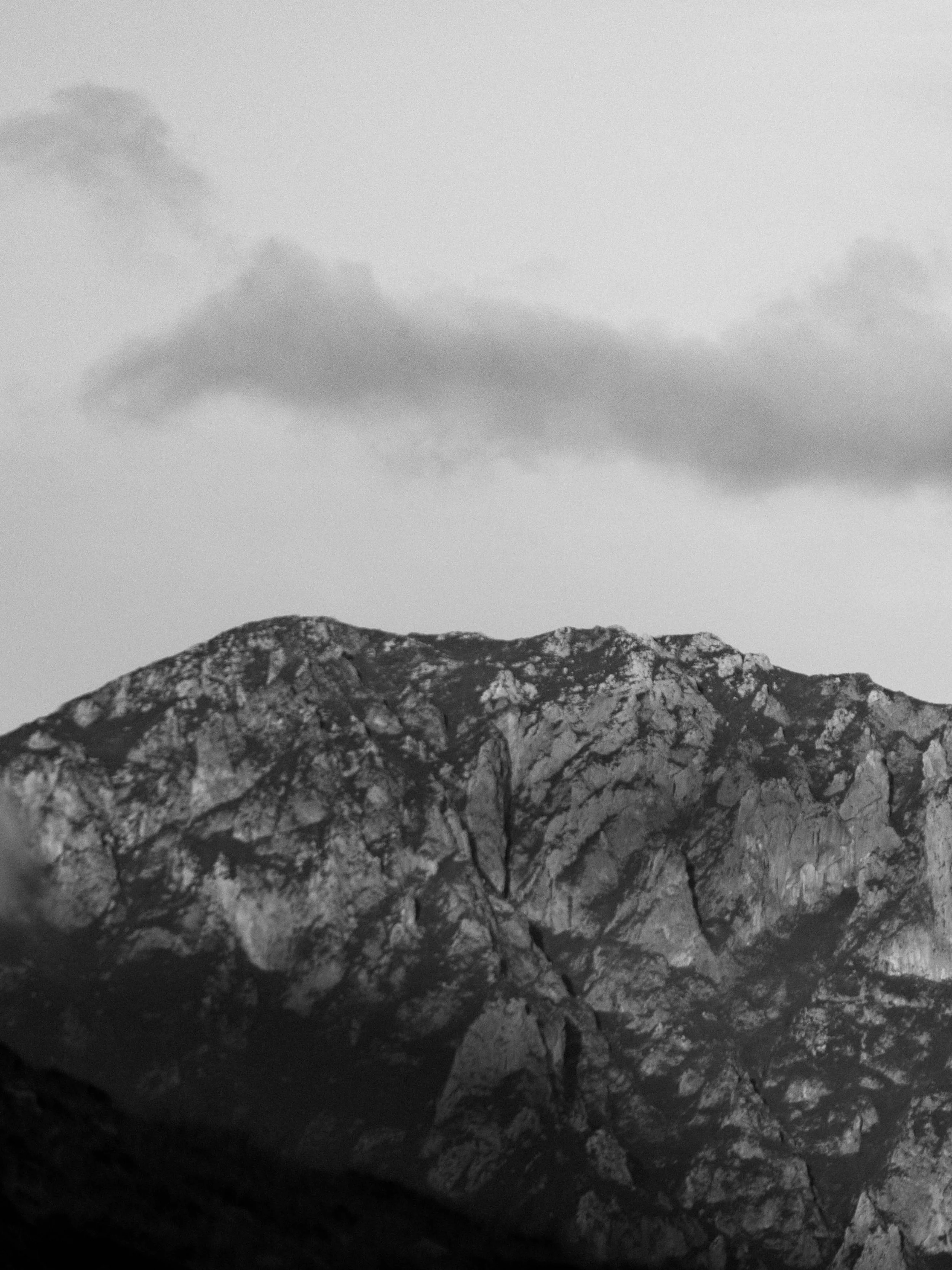 Dereamz-Protest sportswear-_1808.jpg