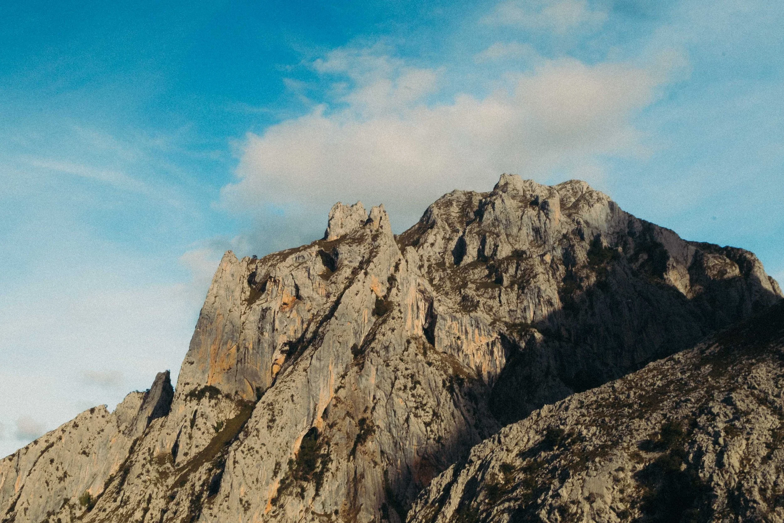 Dereamz-Protest sportswear-_6722.jpg