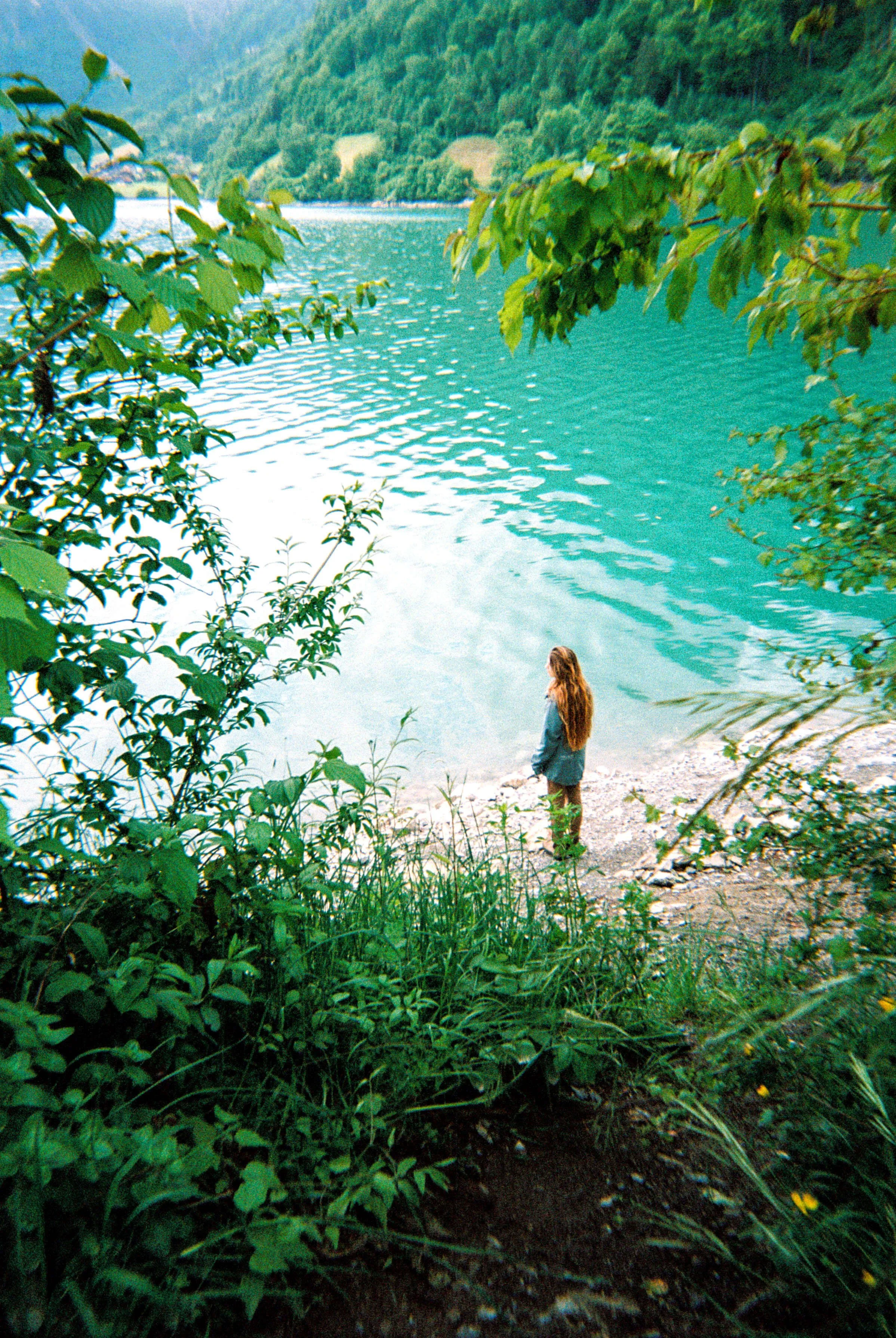 the alps on film photography.jpg