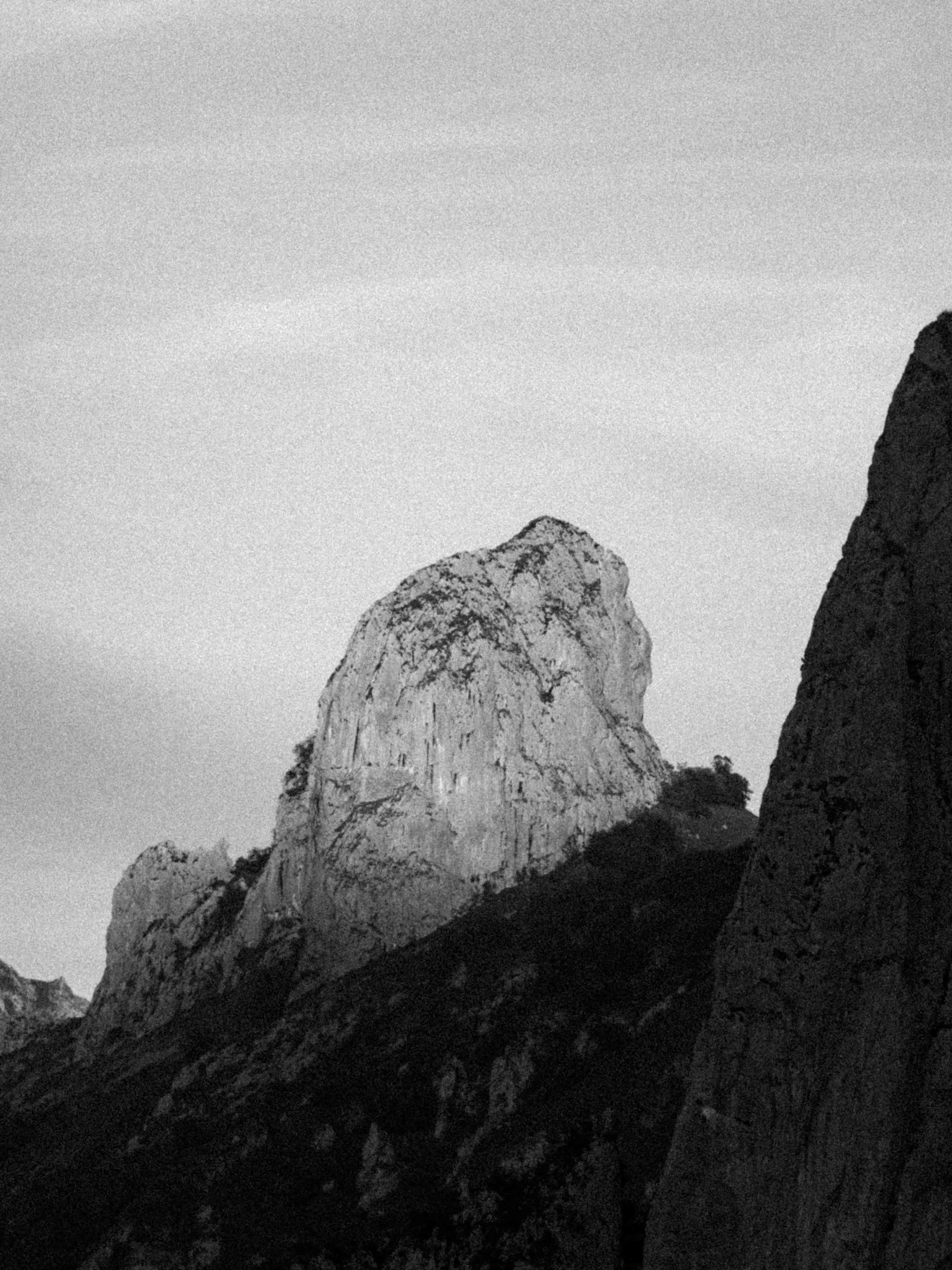 Dereamz-Protest sportswear-_1805.jpg