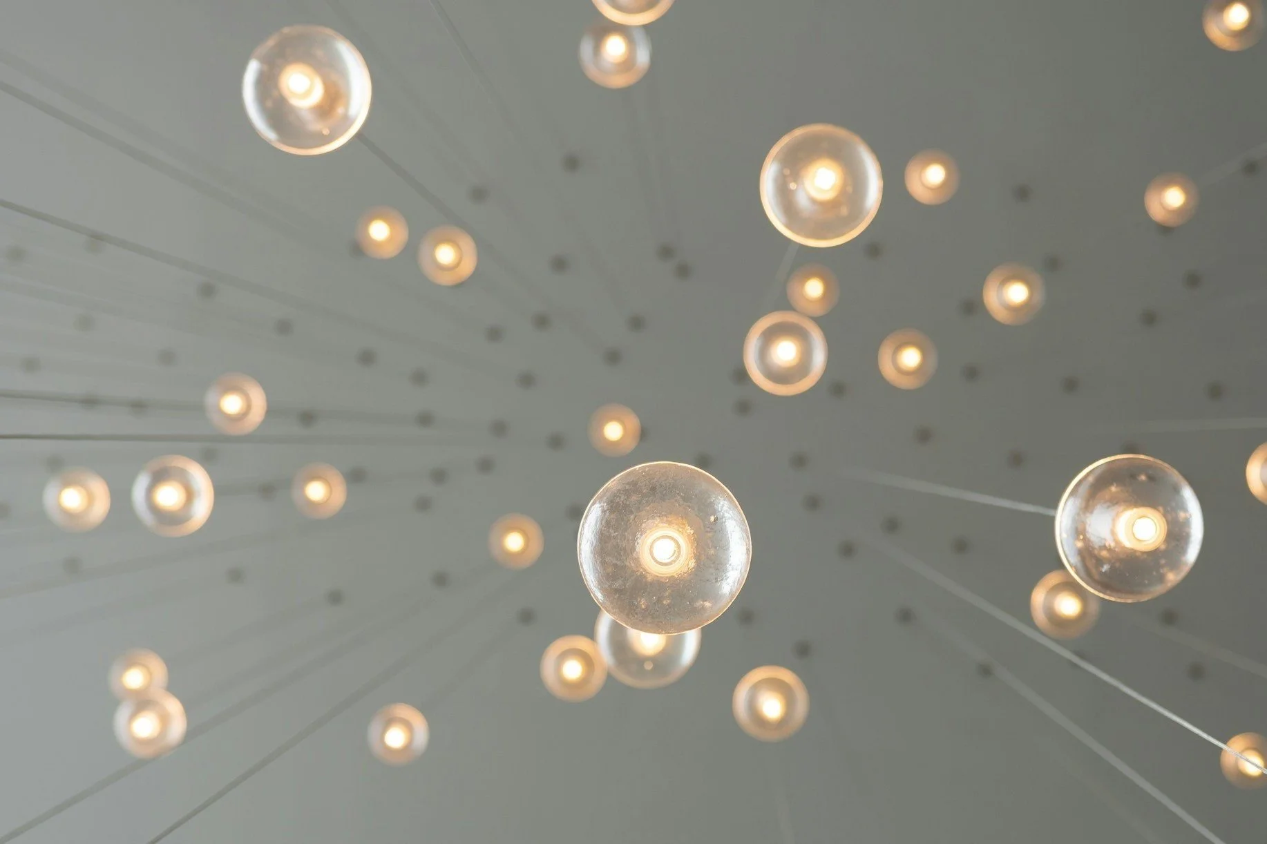 Close-up of a monarch butterfly undergoing metamorphosis, hanging under a surface with a green chrysalis on the left, a dark pupa in the middle, and a fully emerged butterfly with orange and black wings on the right.