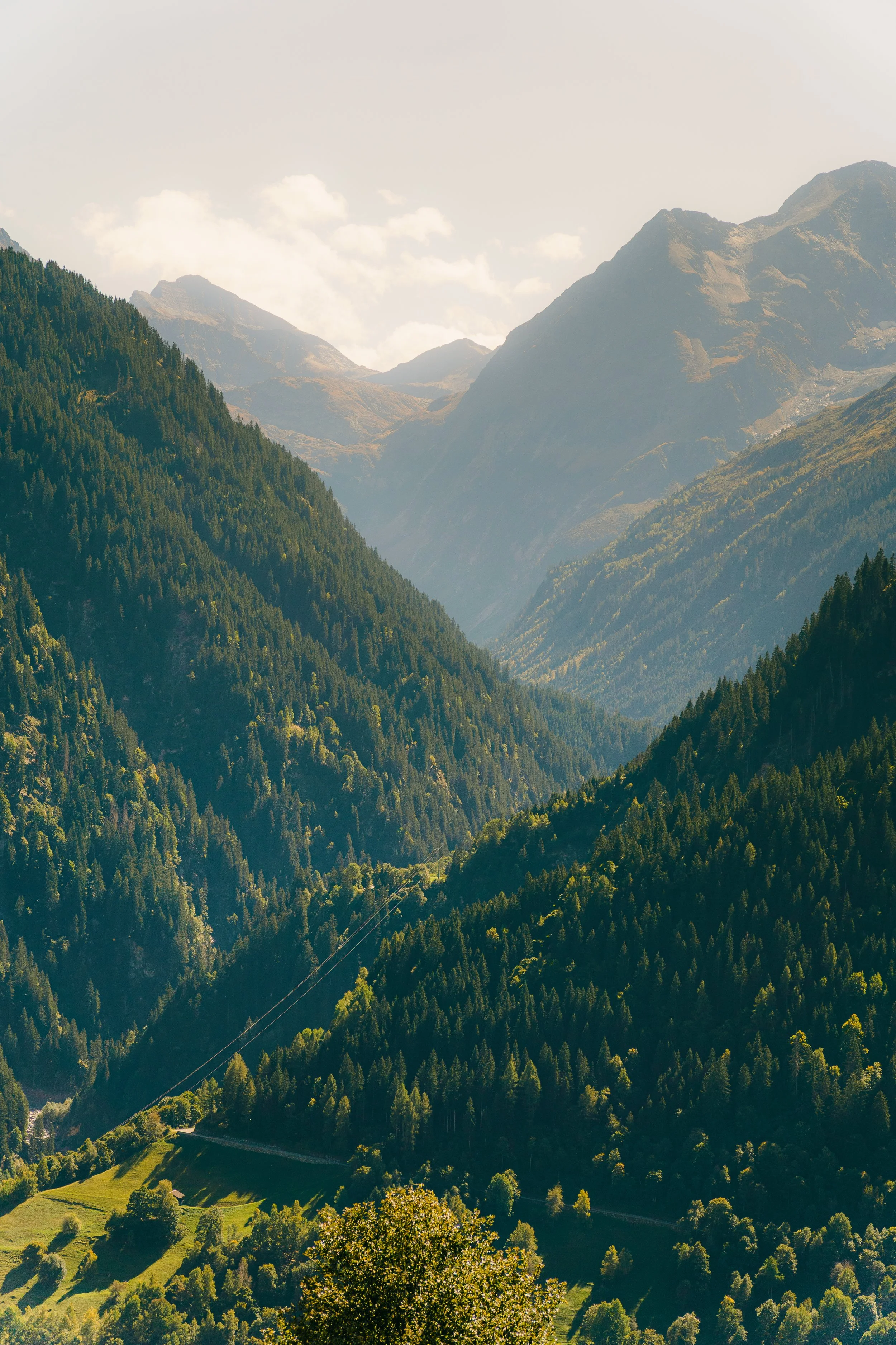 Europe-Website-Landscape-08.jpg