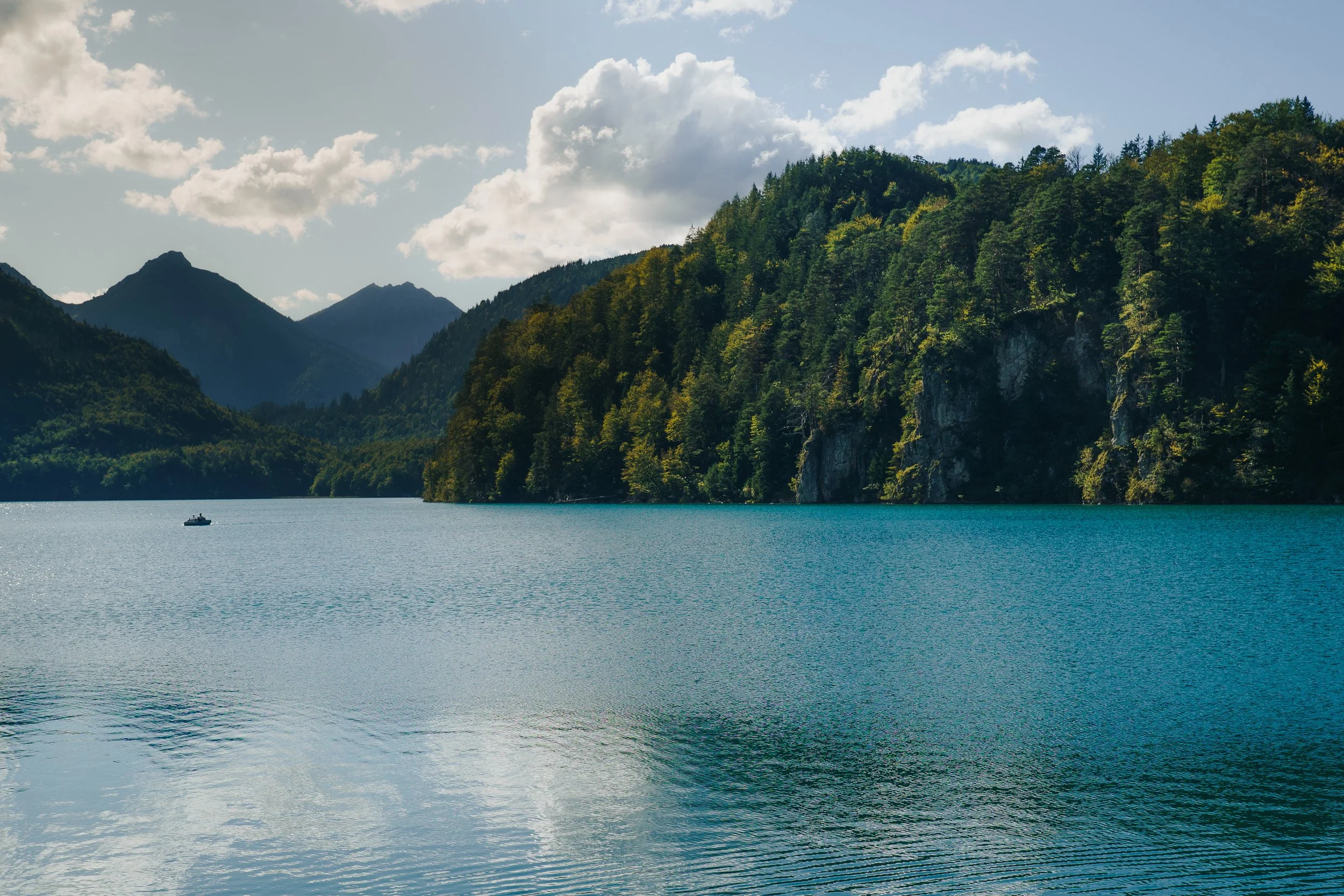Europe-Website-Landscape-07.jpg