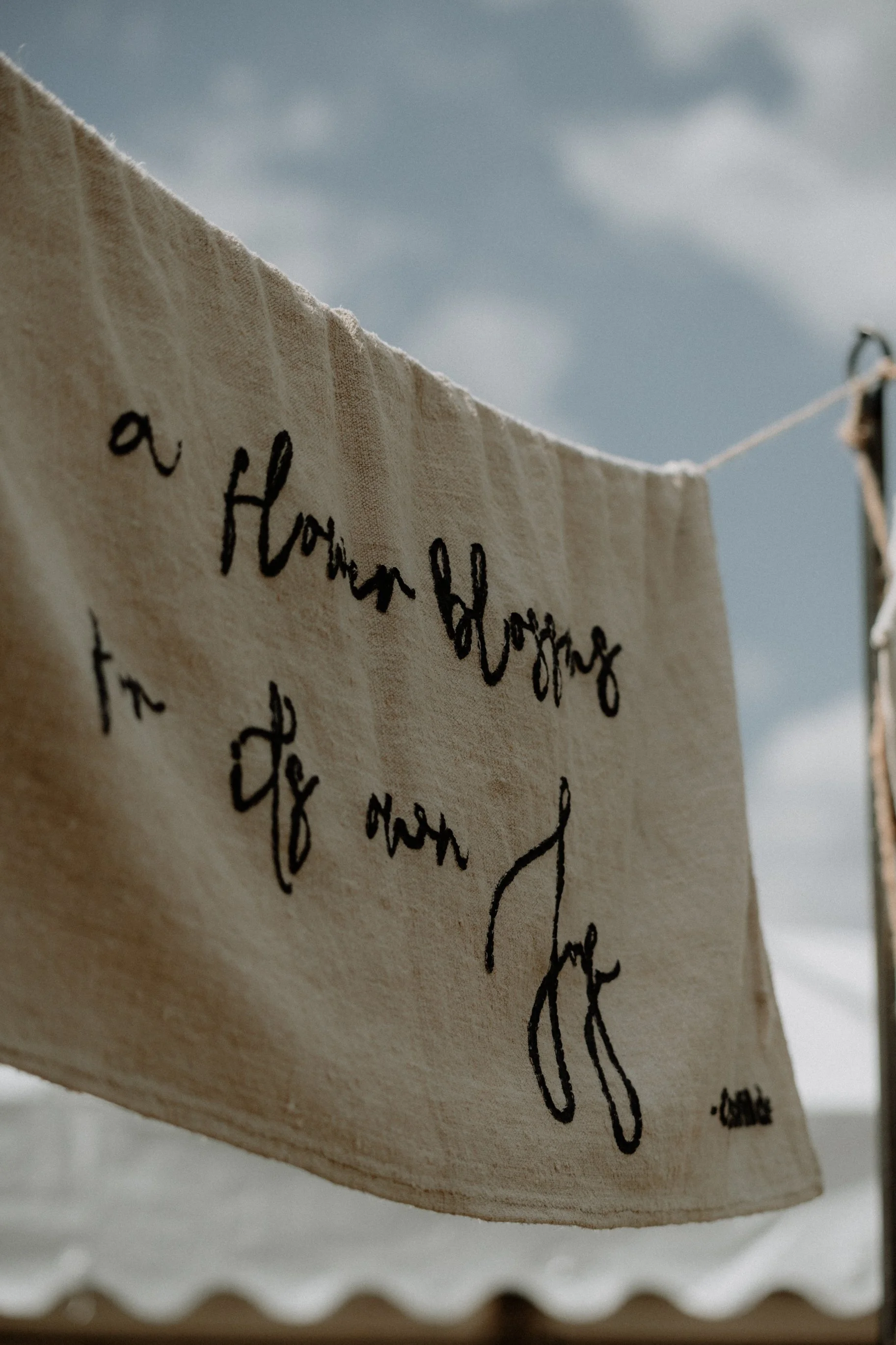 MSD - Joy Events Preview 2025-14.jpg