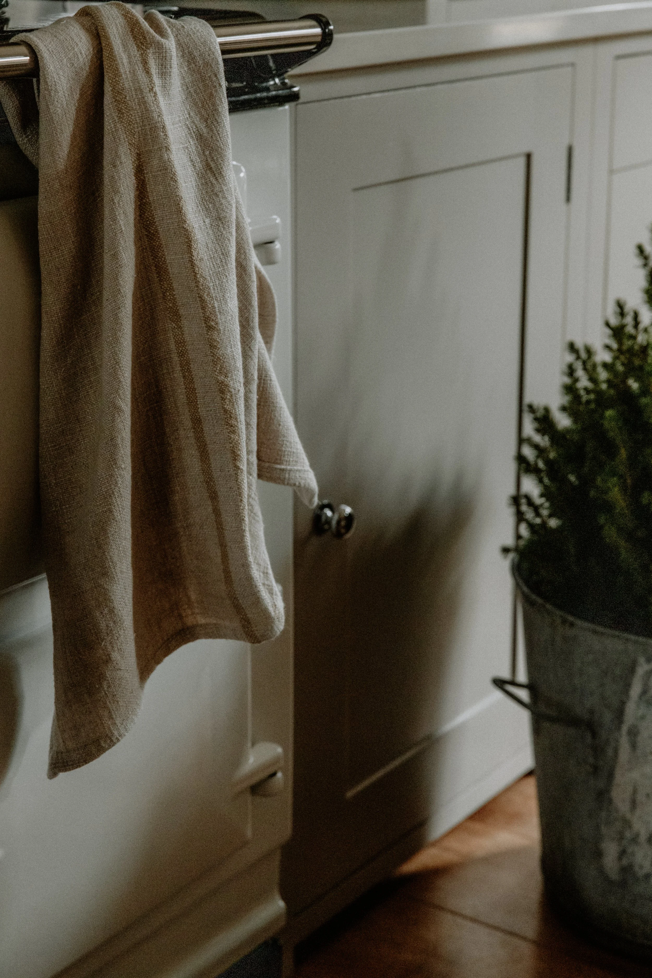 MSD - GG Xmas Half Day 25-25.jpg