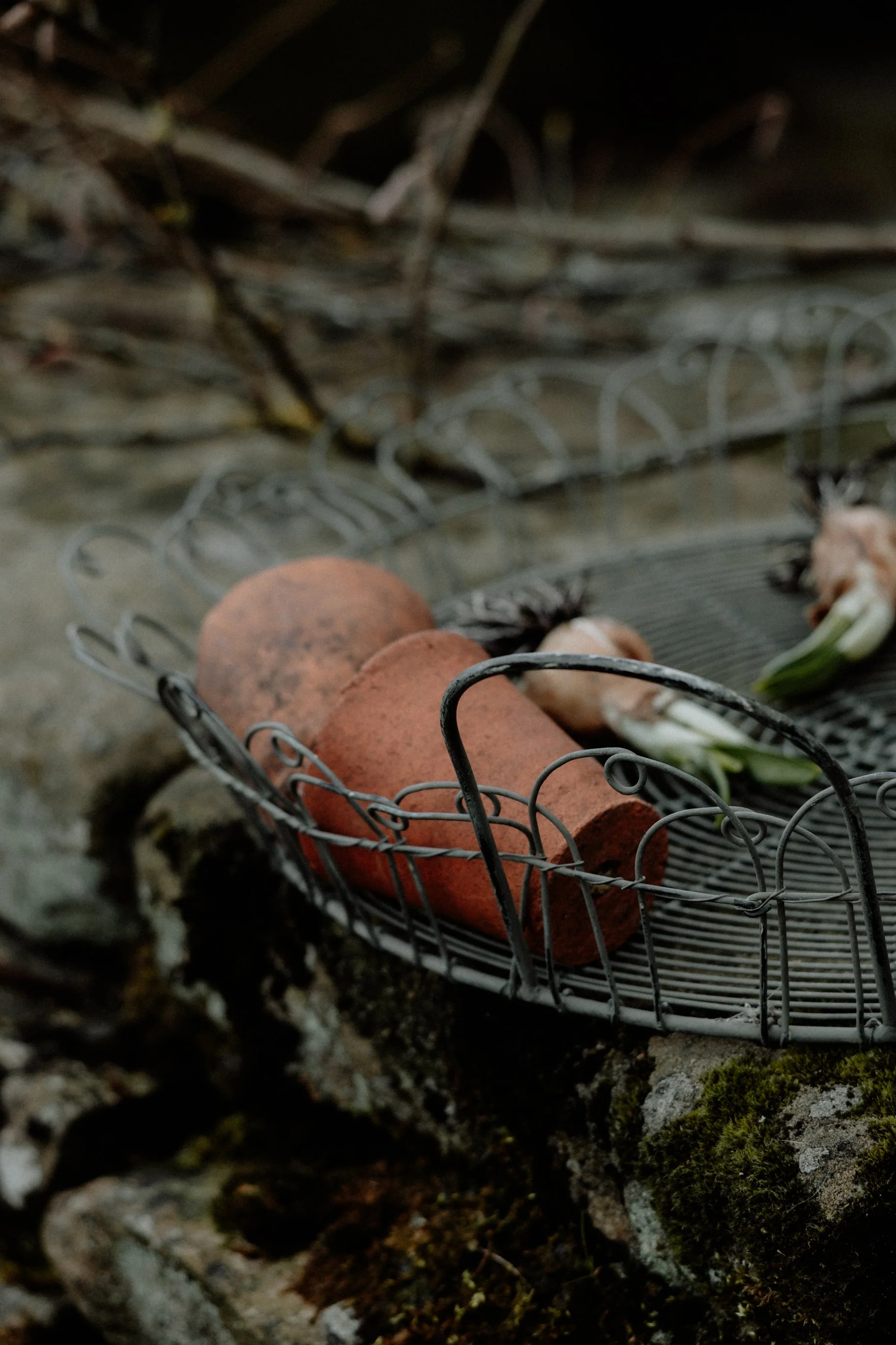 MSD - SS Spring 25 Styled Shoot-47.jpg