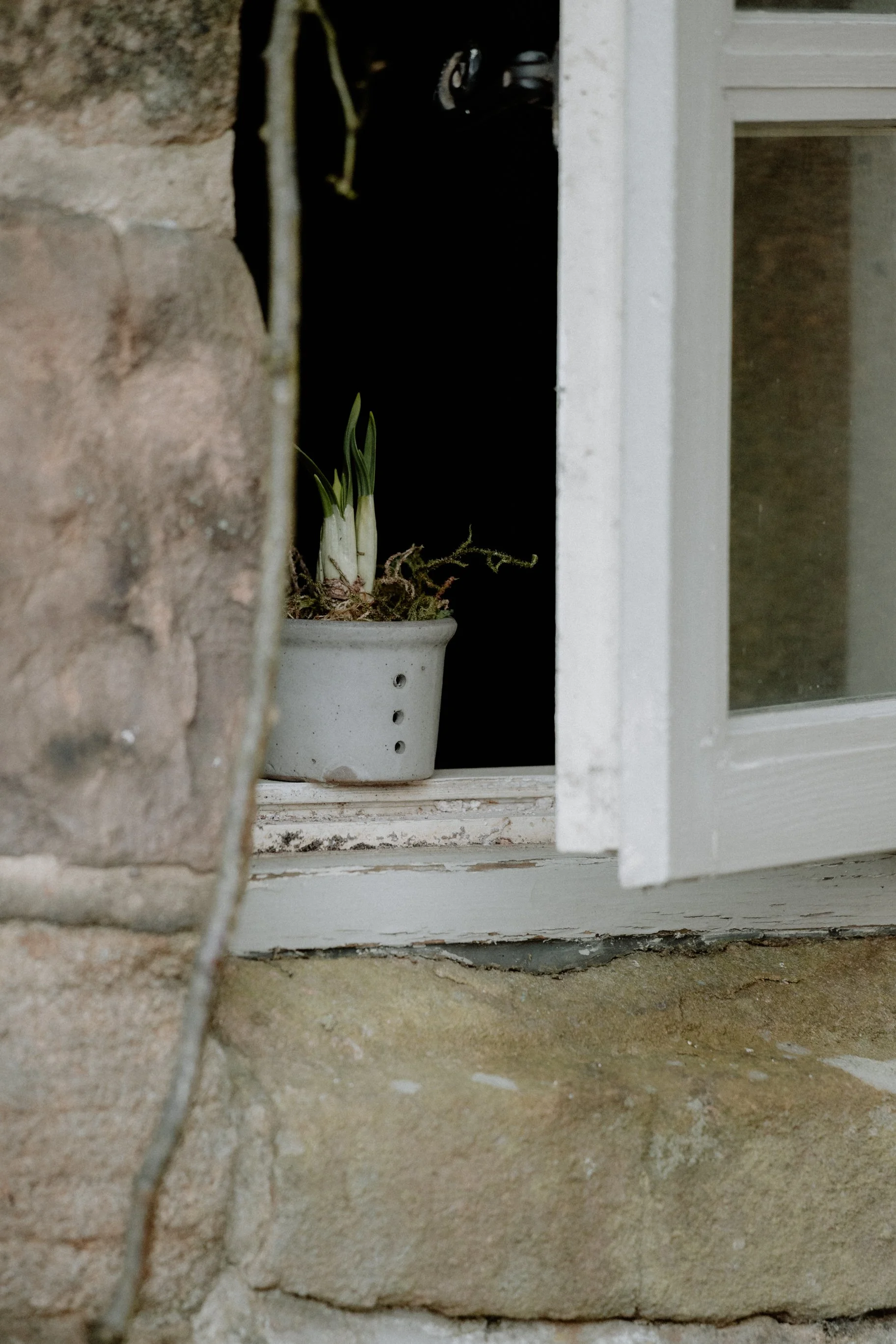 MSD - SS Spring 25 Styled Shoot-44.jpg