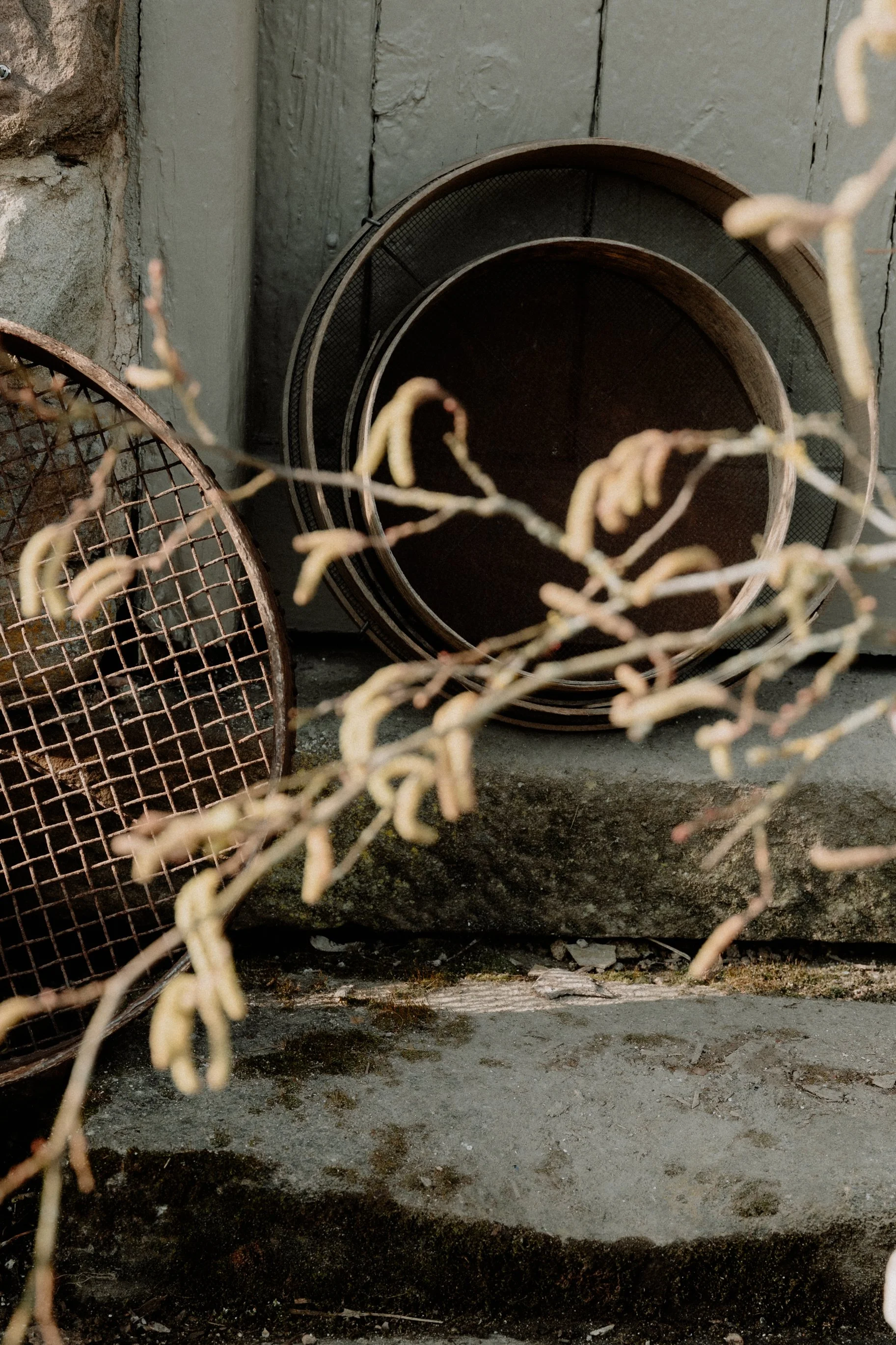 MSD - SS Spring 25 Styled Shoot-50.jpg