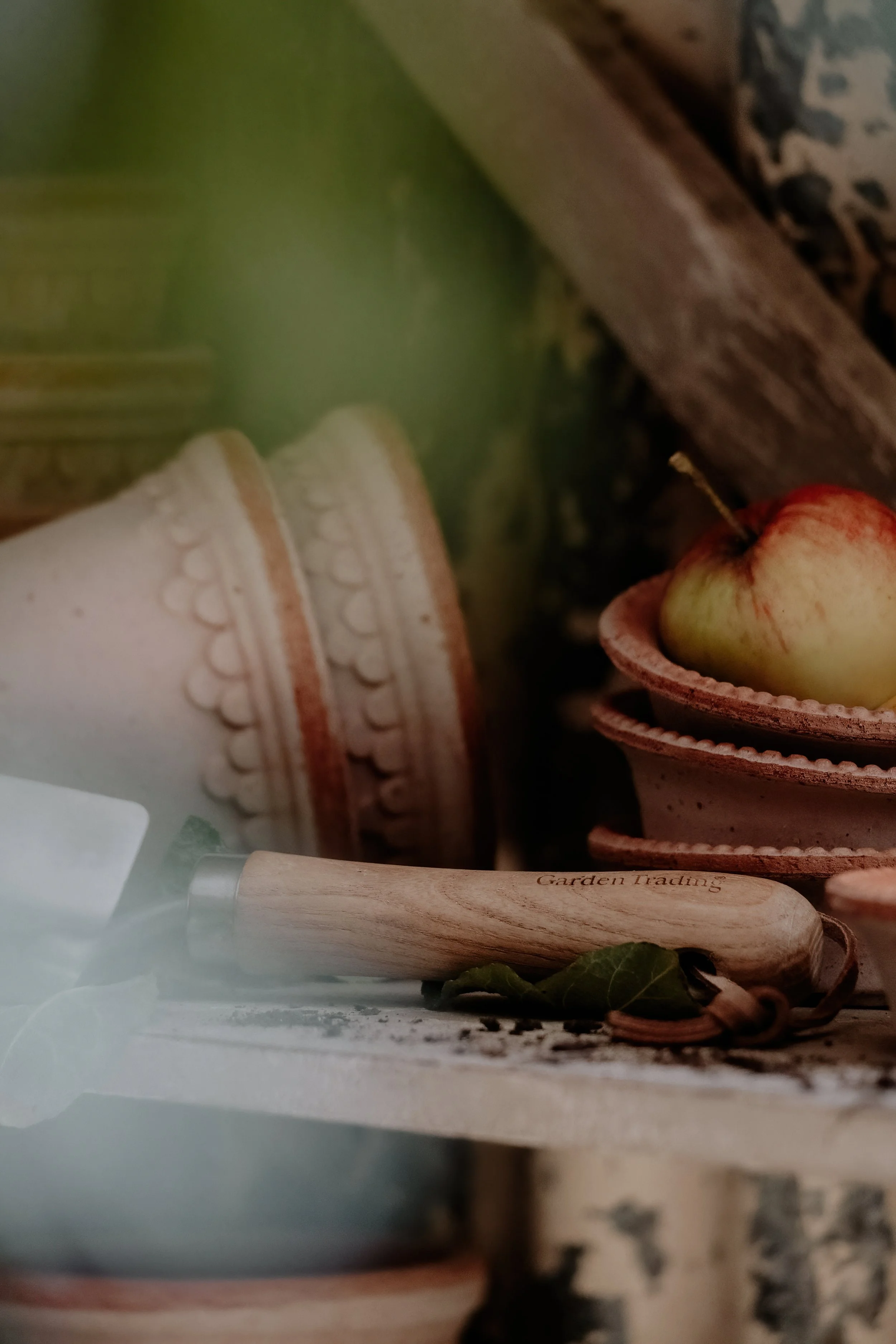 MSD - GG Autumn Potting Shed 25-9.jpg