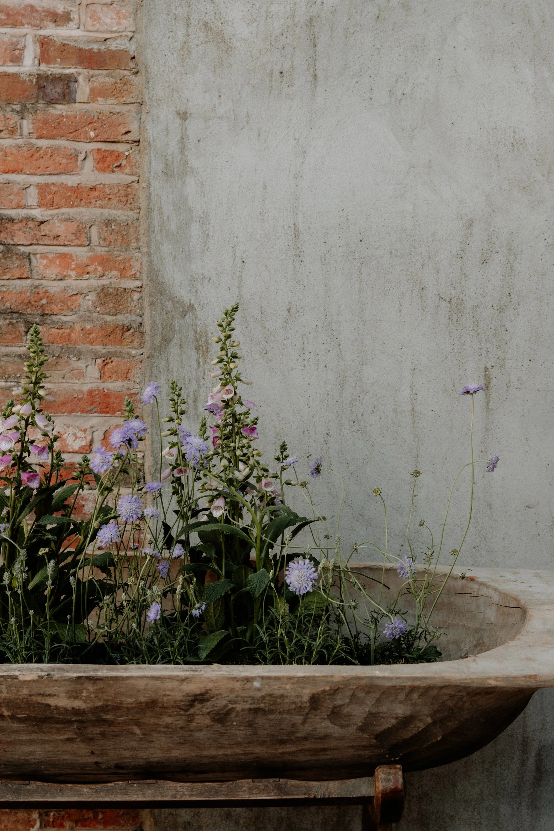 MSD - Joy Events Preview 2025-2.jpg