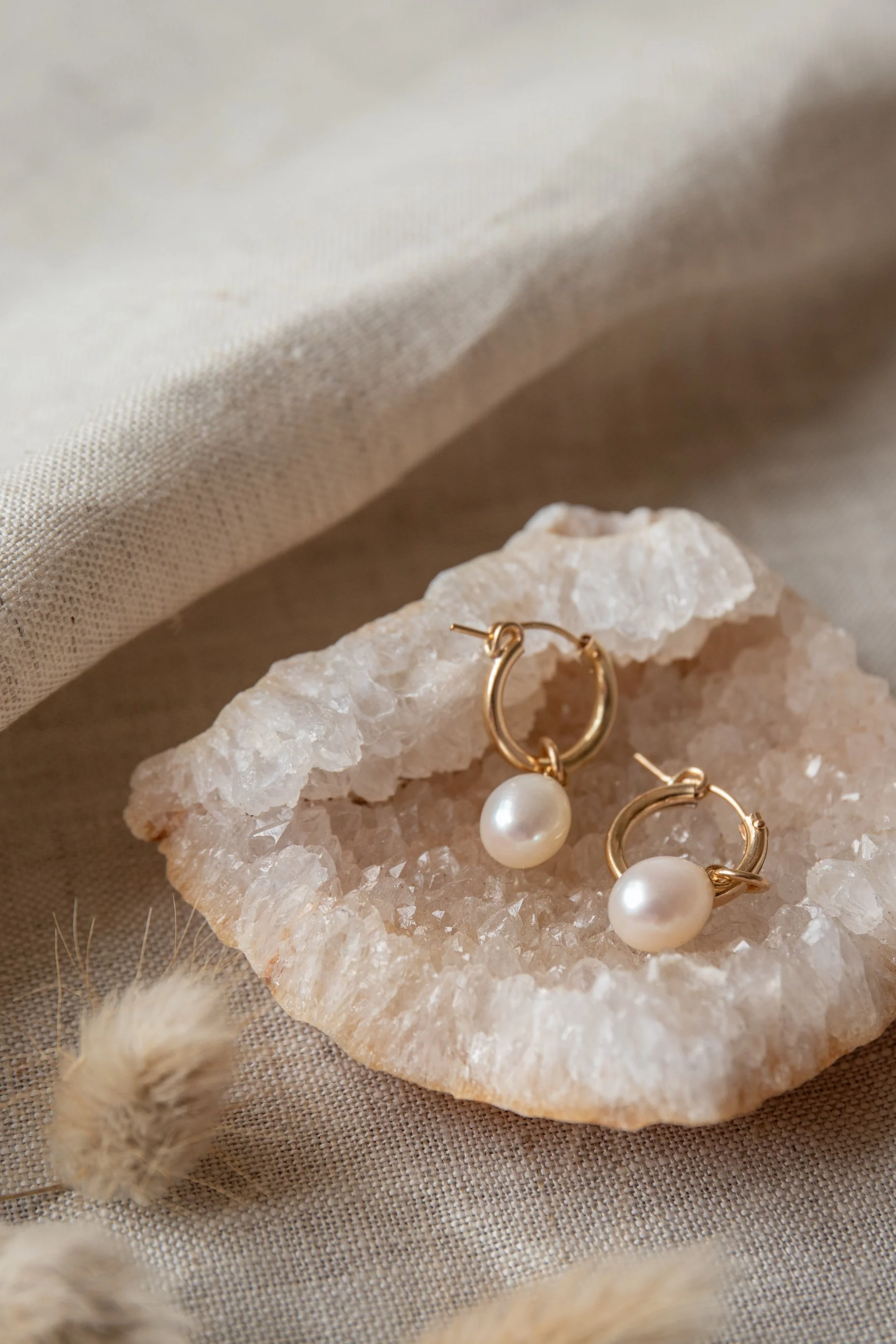 MSD - Carolyn Clare PS 25-2.jpg