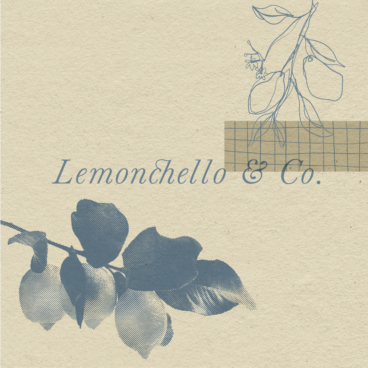 TBP Catalogie 24_2.png