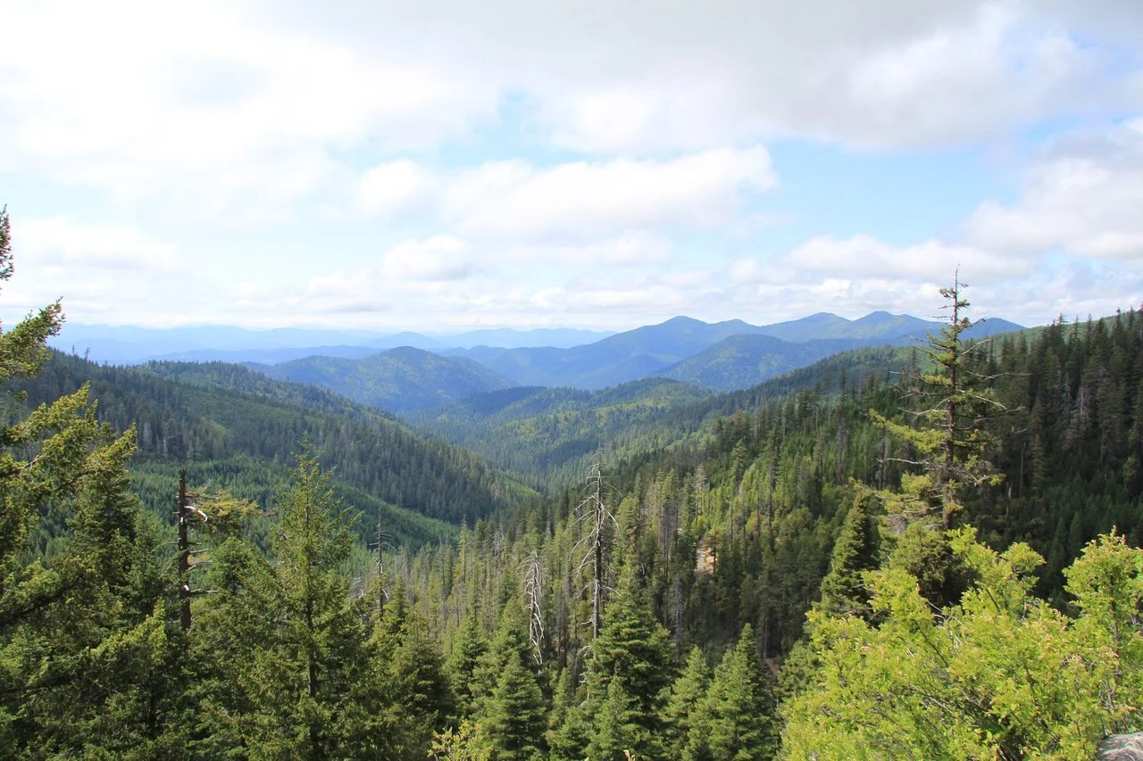 oregon-background.jpg