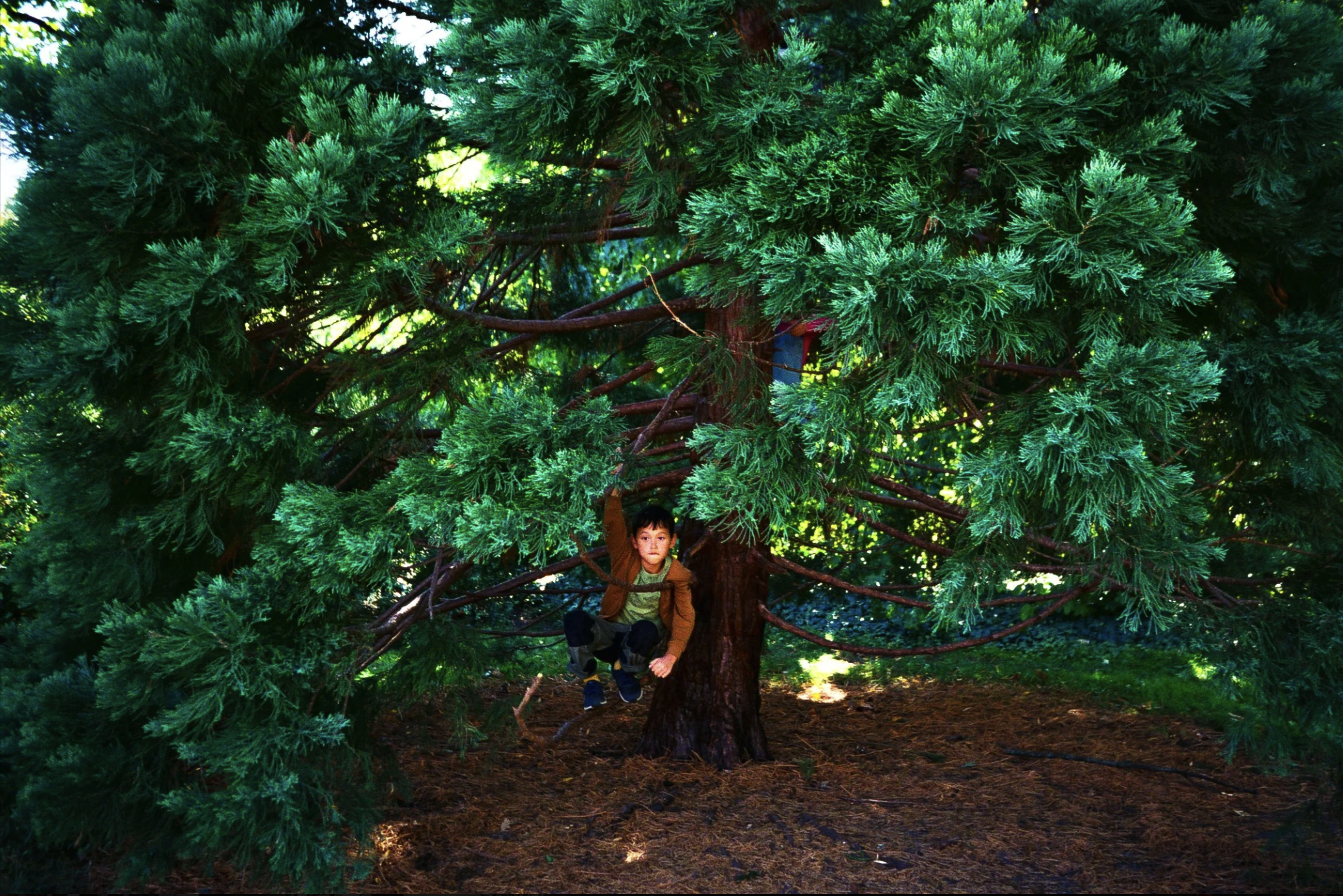 Screenshot 2026-02-27 at 10.28.14.png