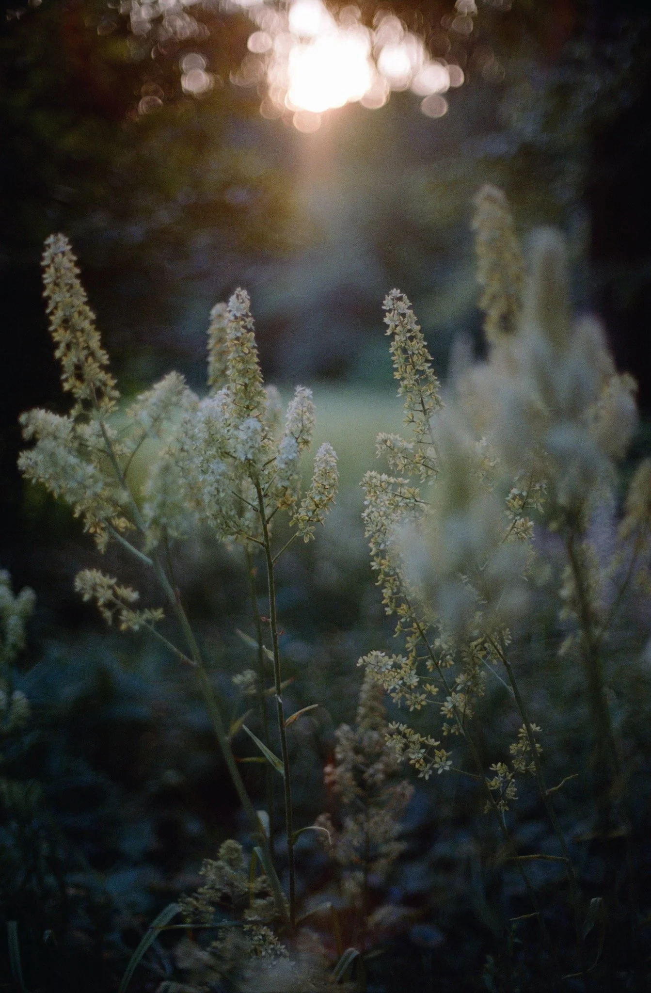 NCS-KC-R02-11_VSCO 11.JPG