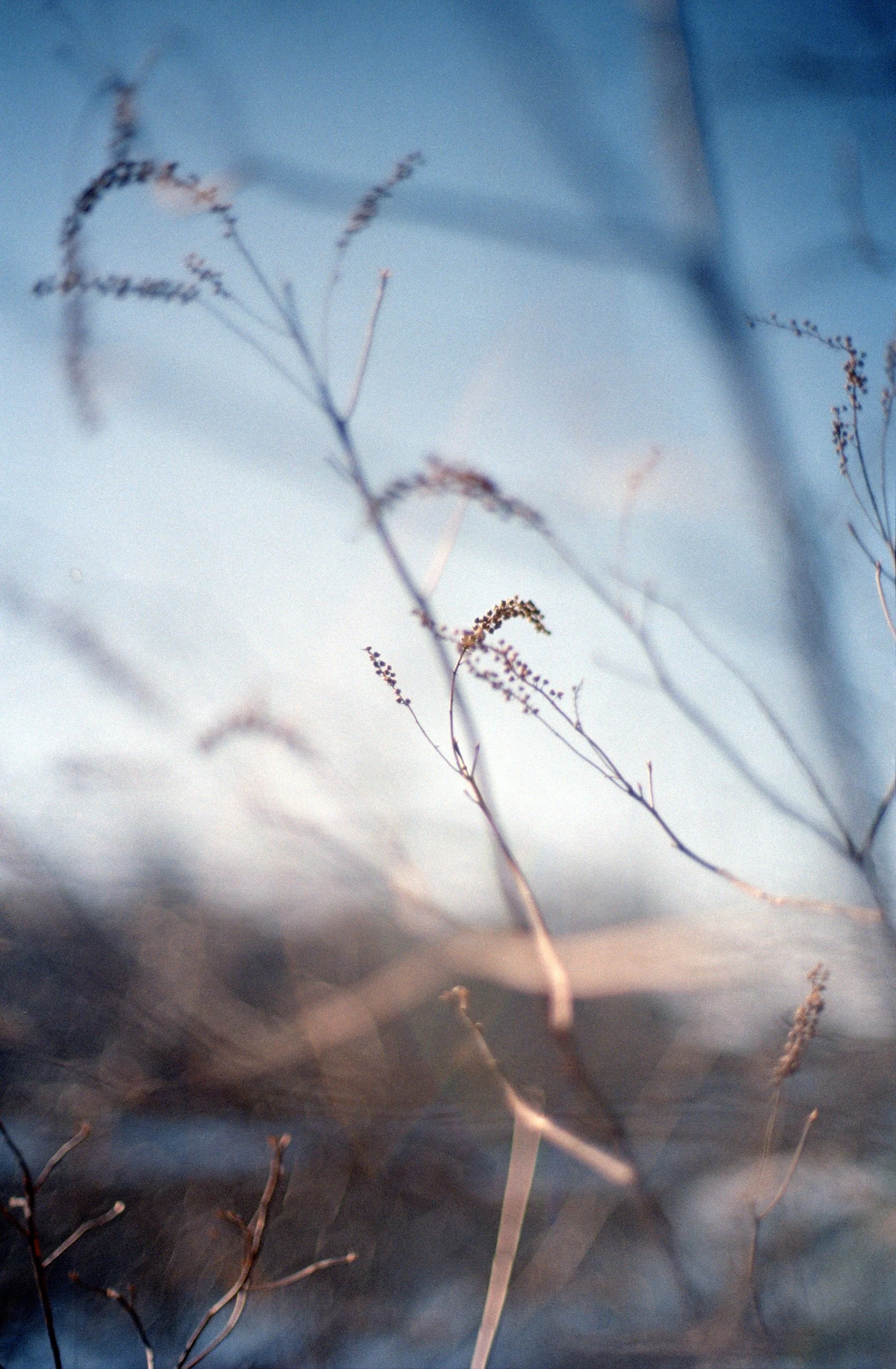 NCS-KC-R01-17_VSCO 3.JPG