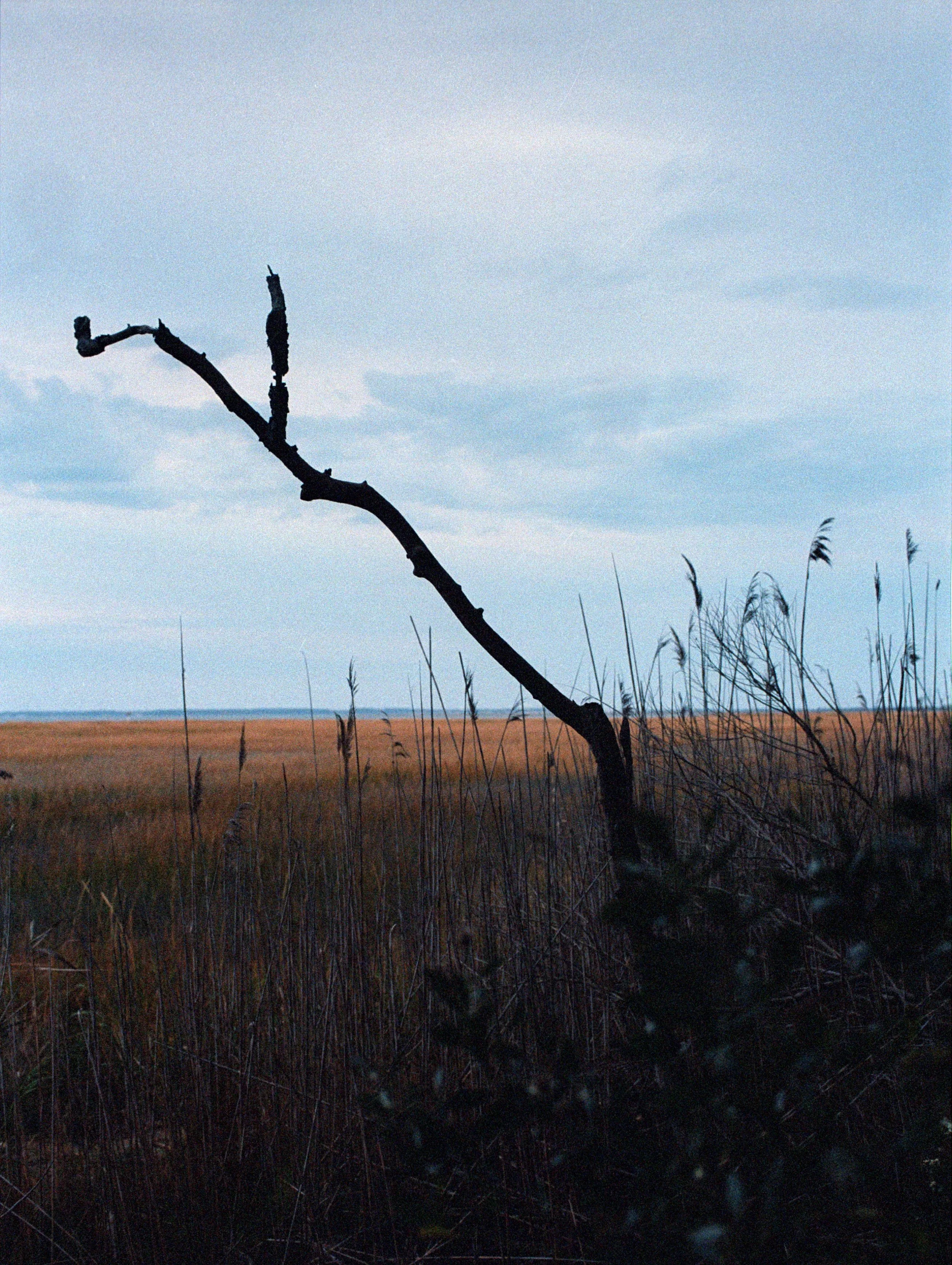 NCS-KC-R15-07_VSCO 2.JPG