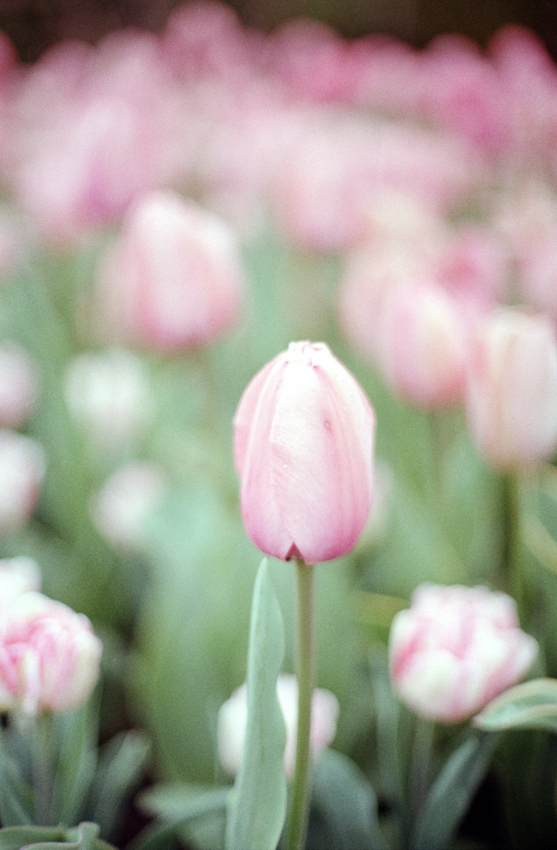 NCS-KC-R04-05_VSCO 4.JPG