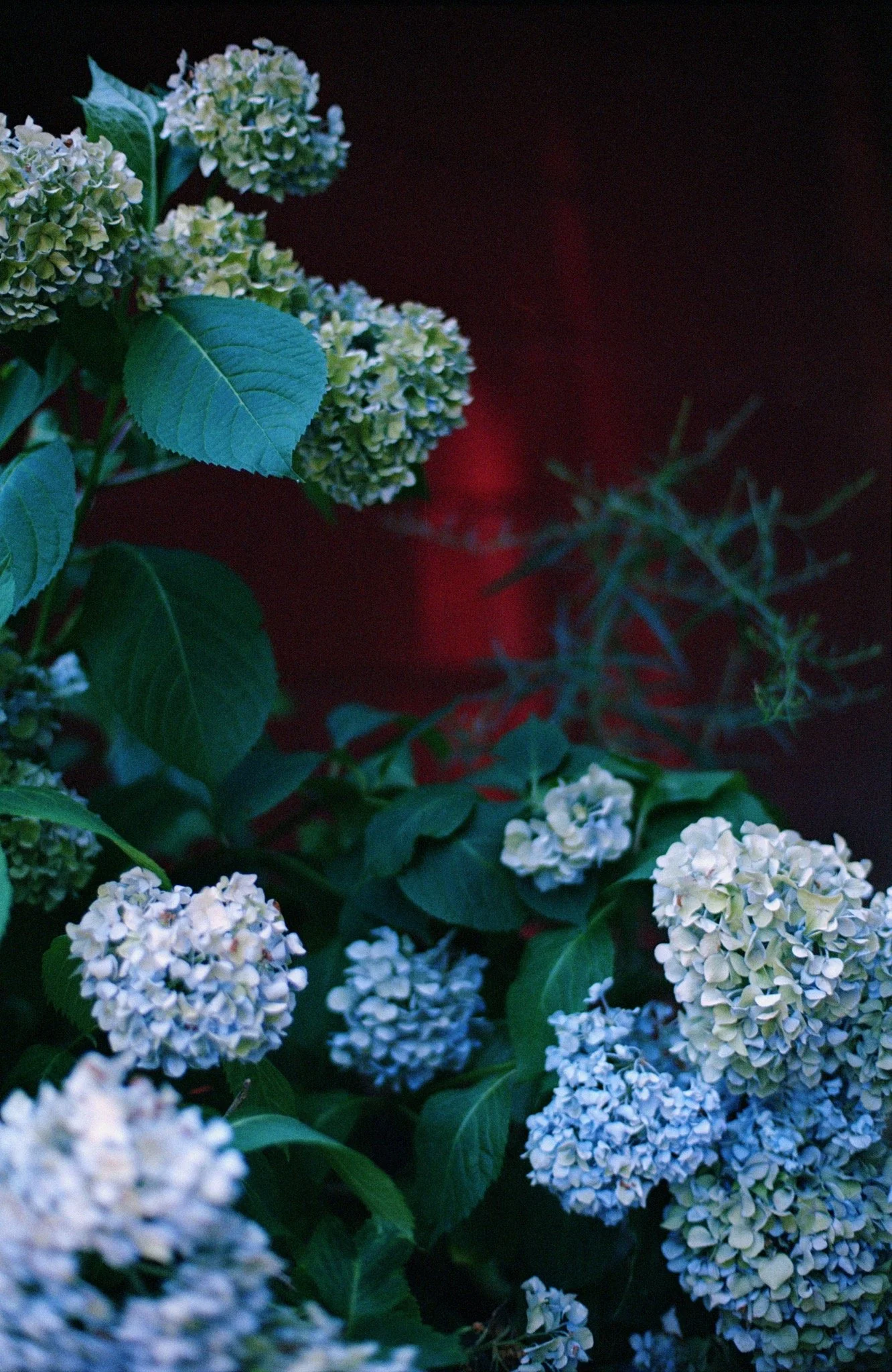 NCS-KC-R01-03_VSCO 5.JPG