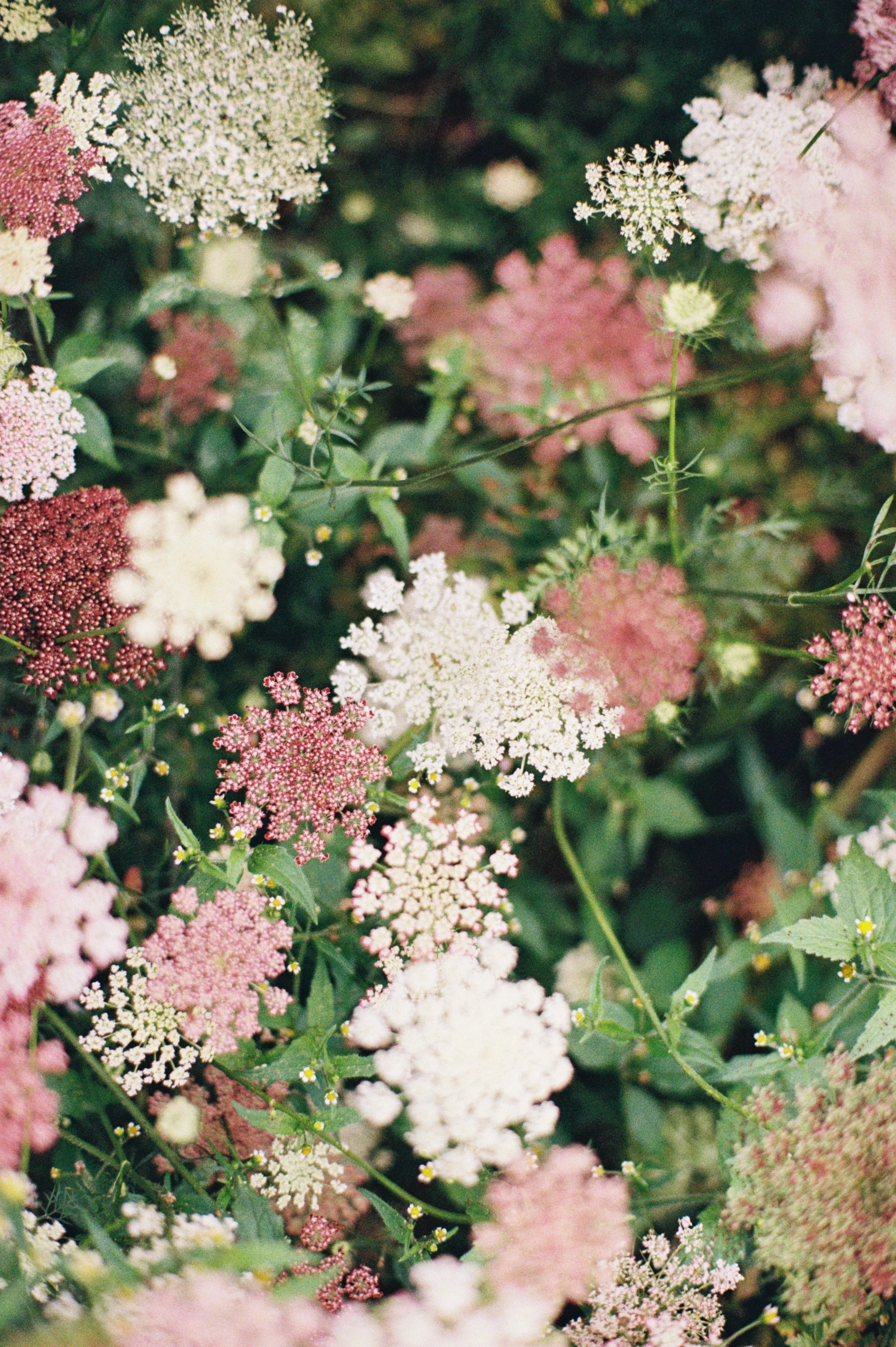 H000024_VSCO 2.JPG