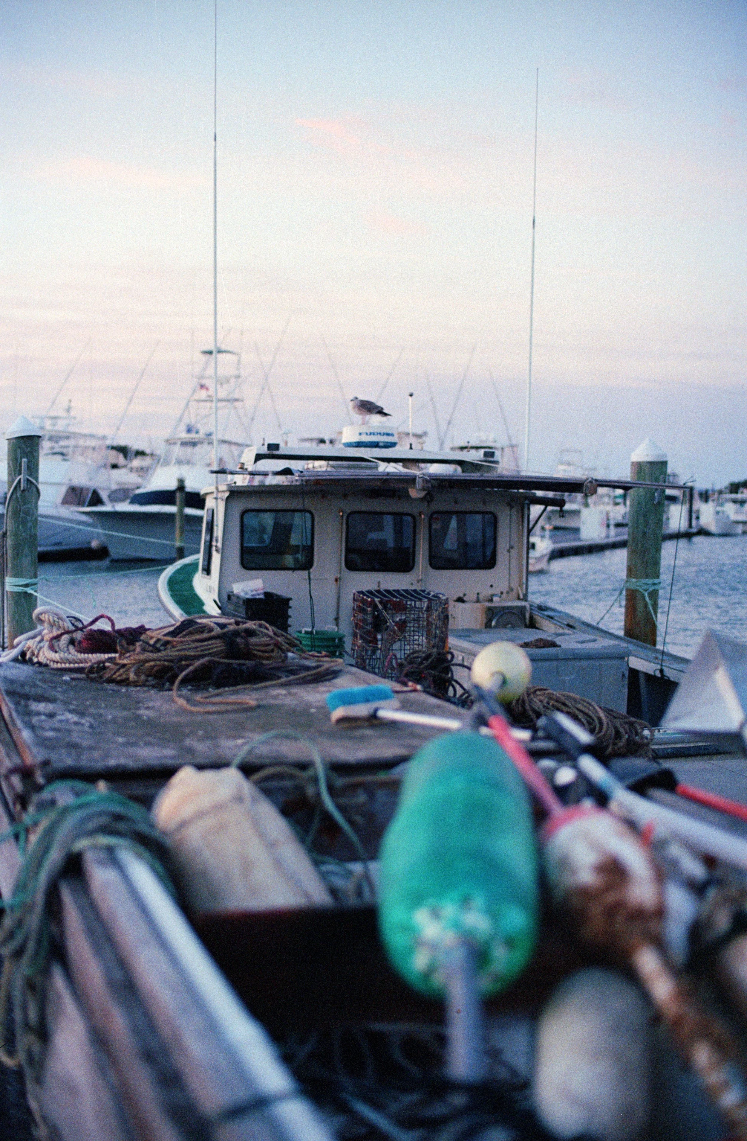 NCS-KC-R15-34_VSCO.JPG