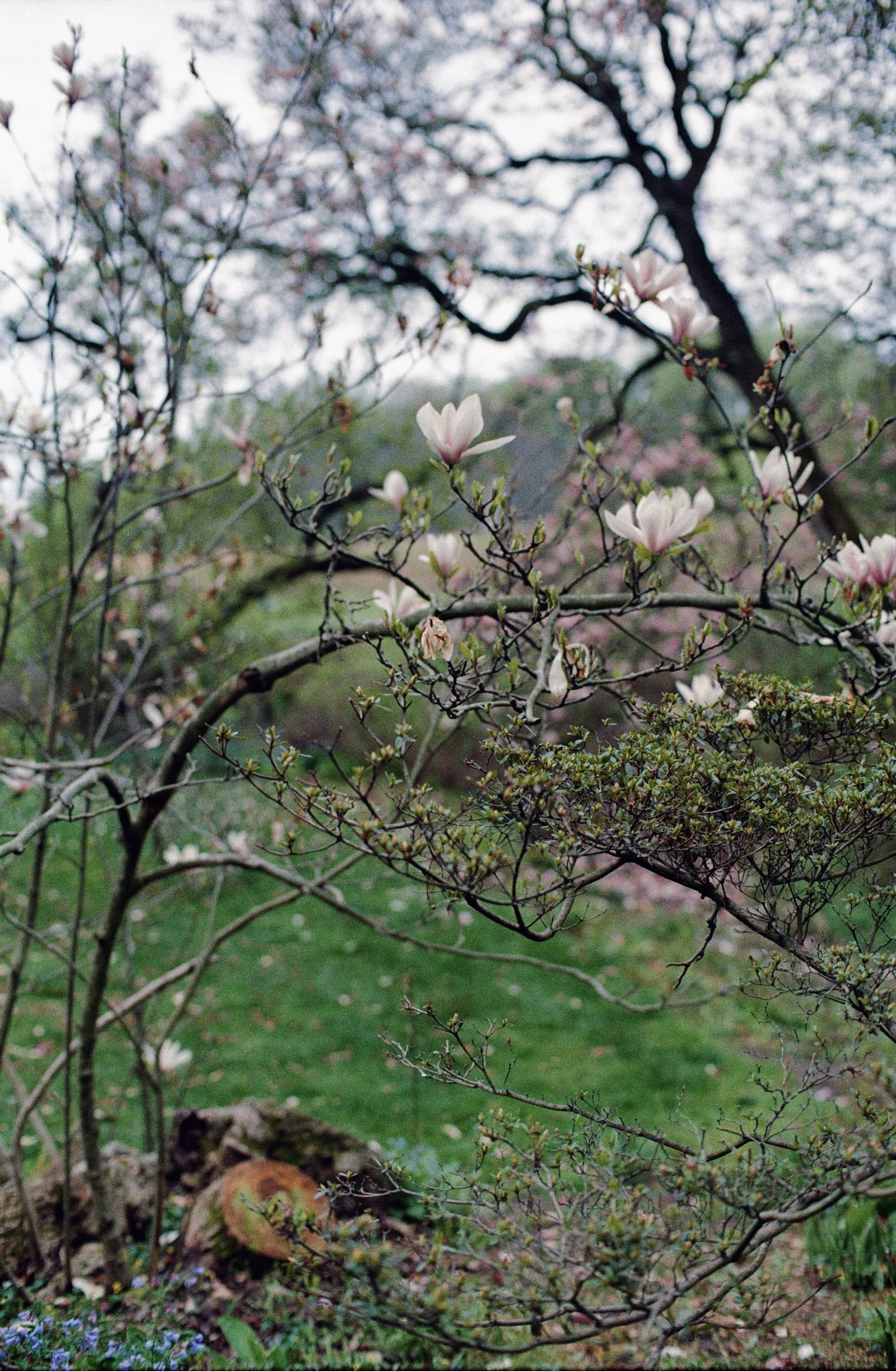 NCS-KC-R02-04_VSCO 6.JPG
