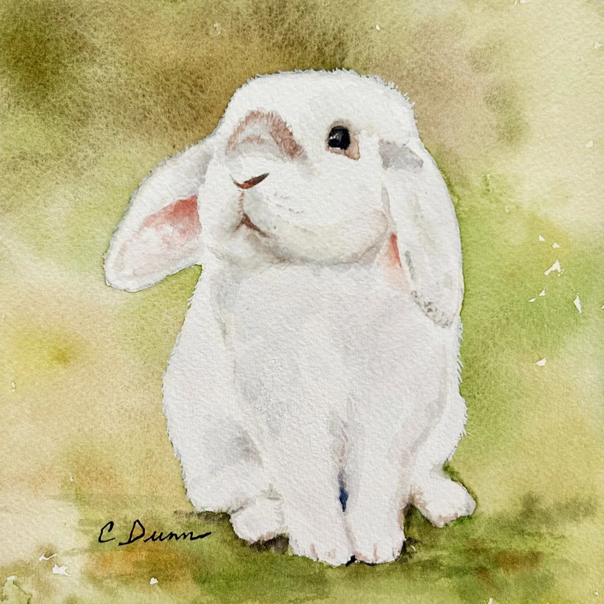 white bunny 6x6.jpg