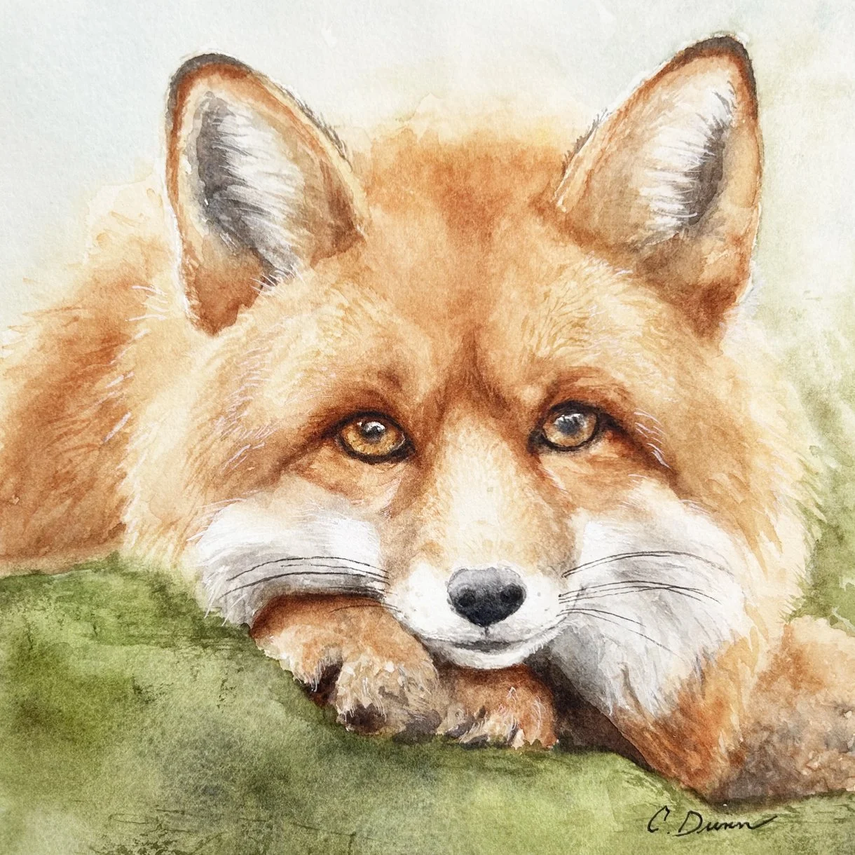 Quiet Watcher