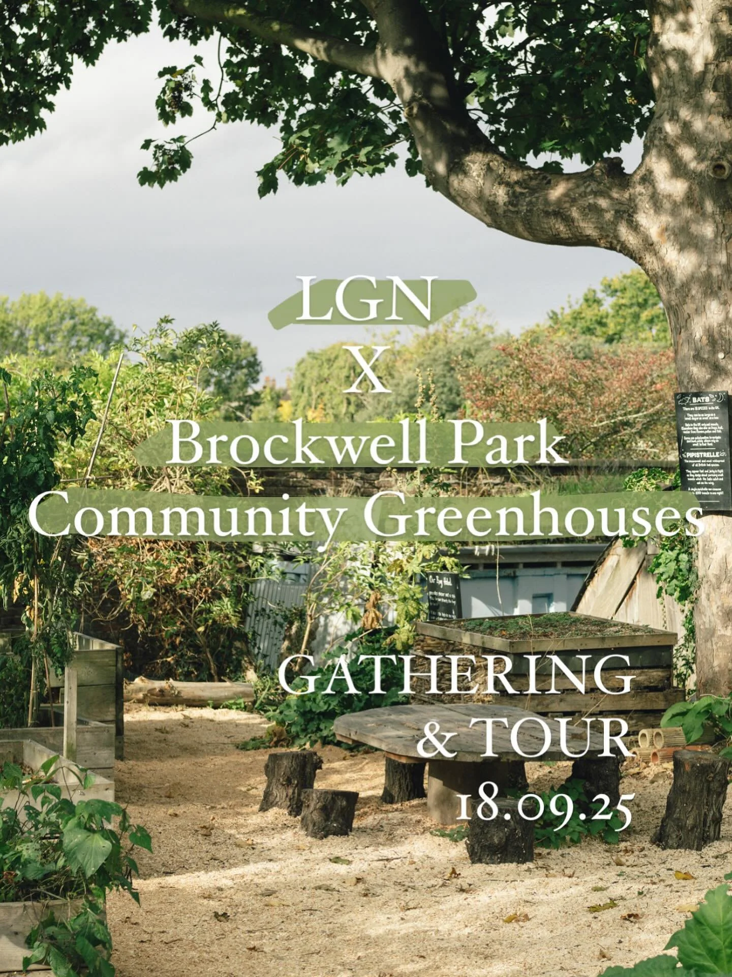 LGN invites you to join us for a special evening at Brockwell Park Community Greenhouses (BPCG), a community garden in the centre of Lambeth&rsquo;s Brockwell Park. We will gather and enjoy a tour with their knowledgable team, including Head Gardener