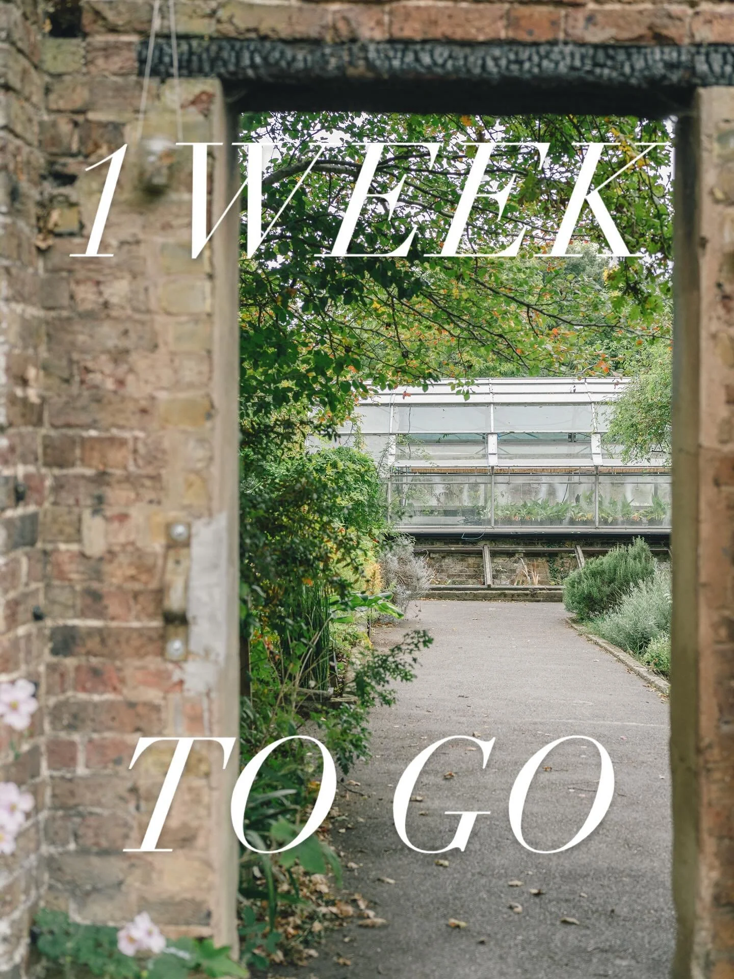 1 week to go till our Autumn event at the beautiful Brockwell Park Community Greenhouses on 18 September. We&rsquo;ll be enjoying a tour with the head gardener and their team, followed by drinks and nibbles. 

At BPCG, people learn about conserving t