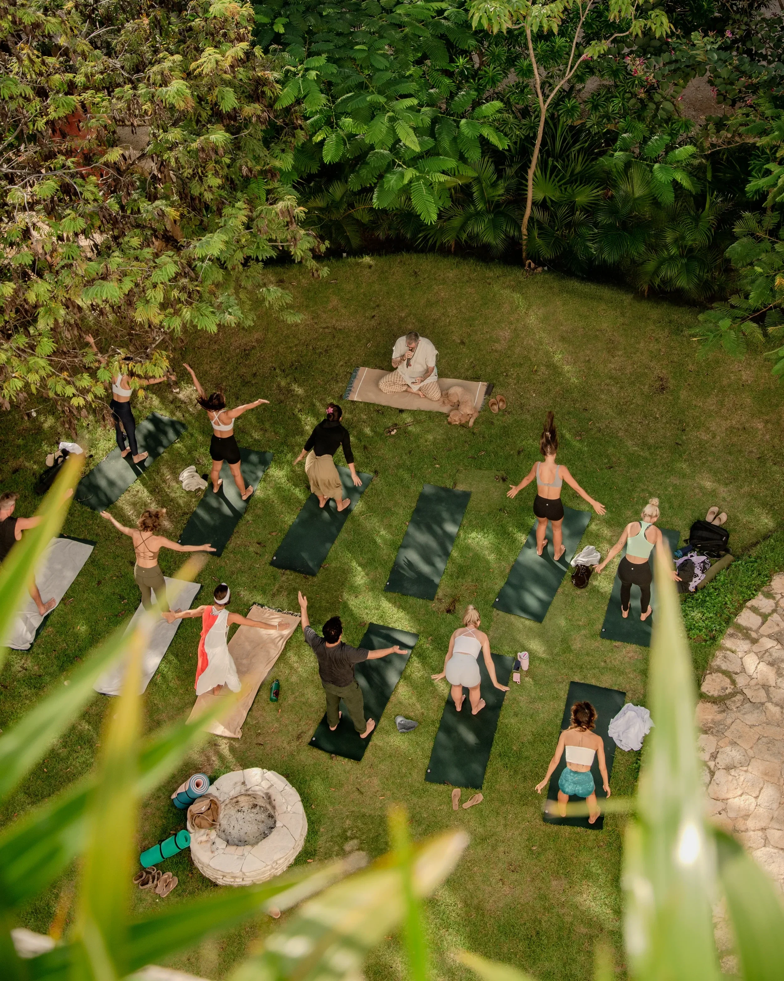 Wellness
