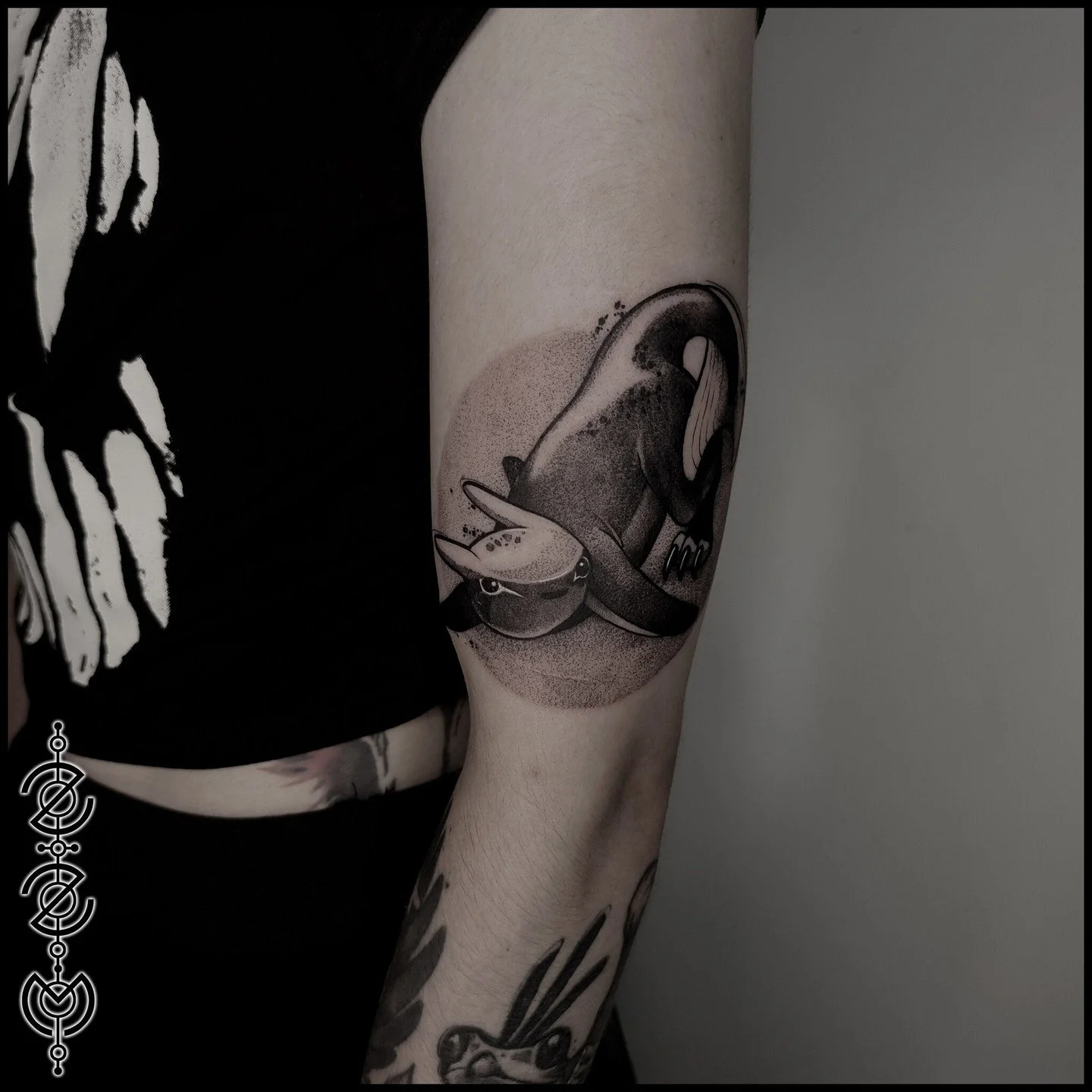 What if sharks were land-dwelling? I can see this one chasing seagulls on the beach. This one was from an older flash set, to see them all check out my highlights!
-
-
-
#creatureconcept #blackwork #bournemouthtattoo