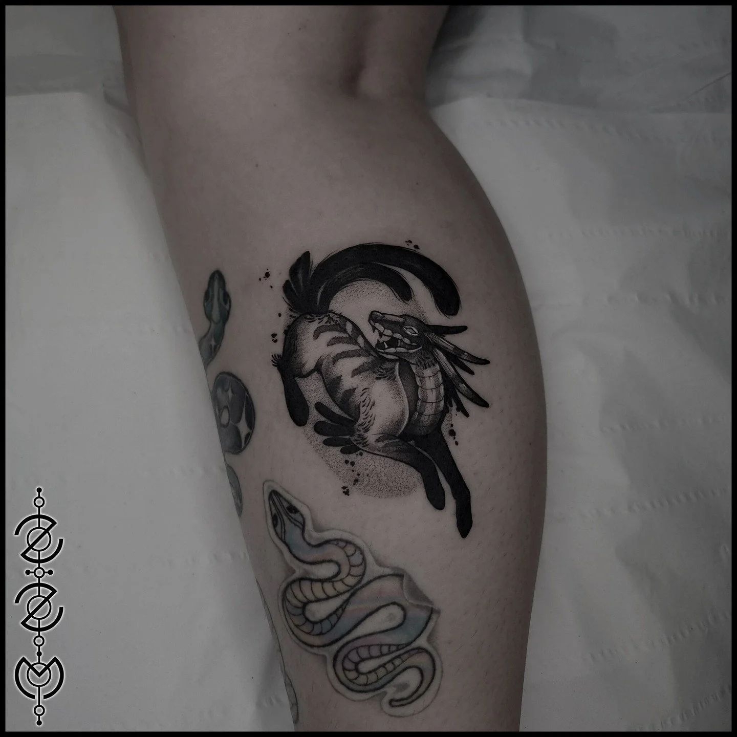 Reptilian / canine - one from my older flash sets, the creature concepts all started with designs like this and grew from there,  I couldn't be happier that they're now a large part of my portfolio. Thank you all! 
-
-
-
#creaturetattoo #blackworktat