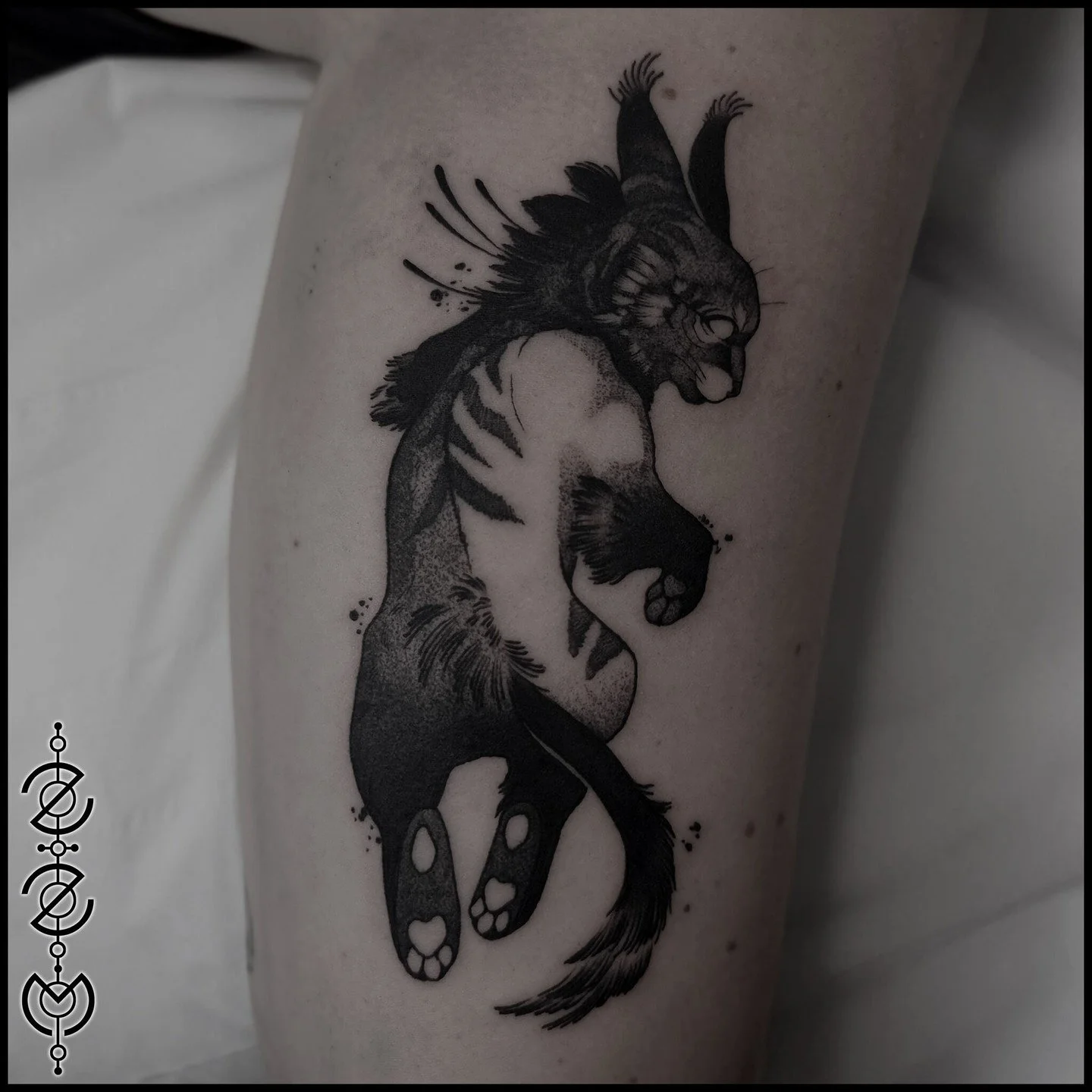 This little cub came from a littler of 6 hatchlings, you can find two still looking for homes in my highlights!

-
-
-
#blackworktattoo #creaturetattoo #bournemouthtattoo