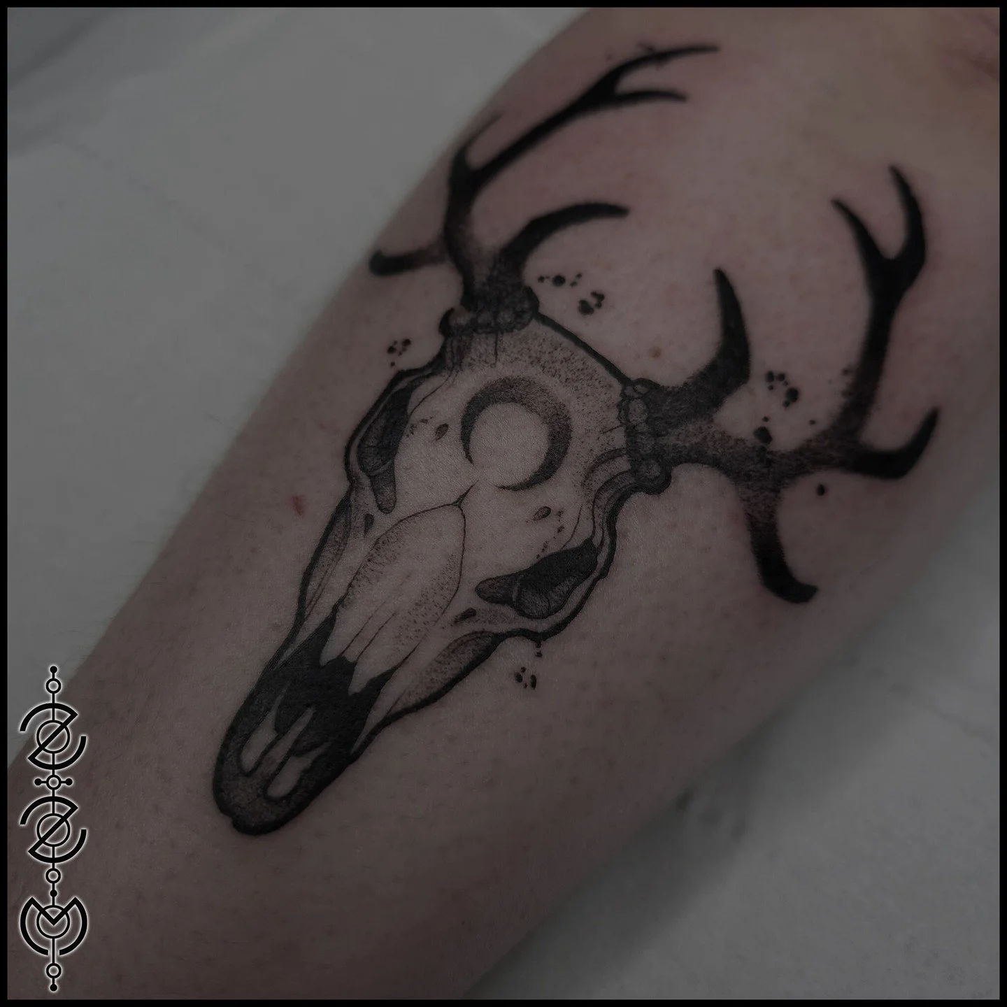 One from my flash!
I don't think I'll ever turn down the opportunity to do an animal skull, they give me so much opportunity to do all the things I love about tattooing. Detail, texture, contrast and striking designs.

You can find my Booking Form on