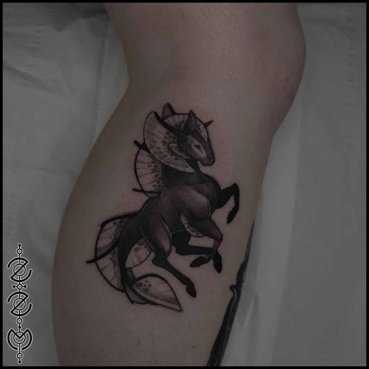 The're's something for everyone in my creature sets, like this beautiful aquatic horse type. If you could design your own animal, what would you create?

Need a creature? You can check out what's been hatched in my Highlights or request something cus