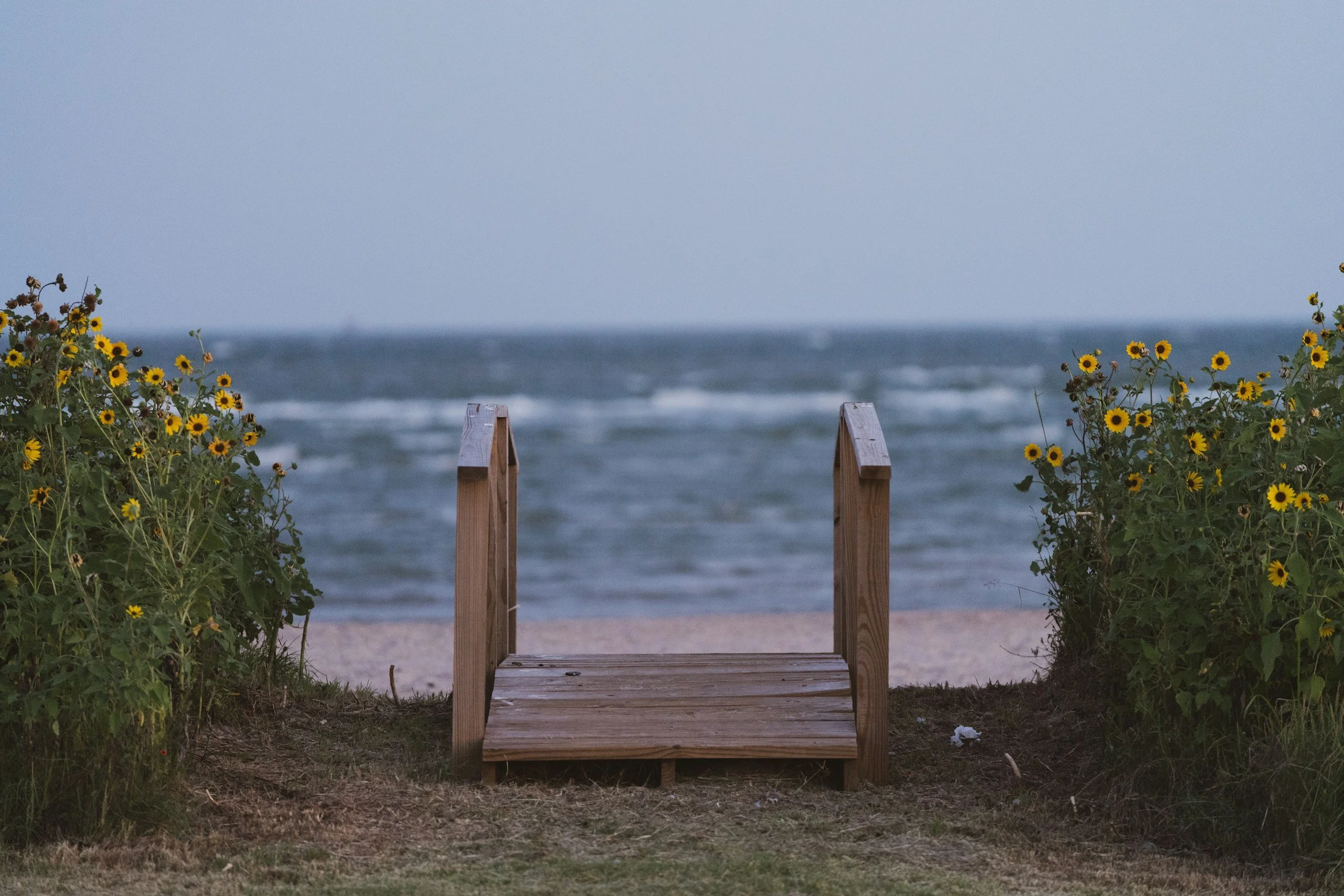 small-walking-bridge-by-beach-and-yellow-flowers