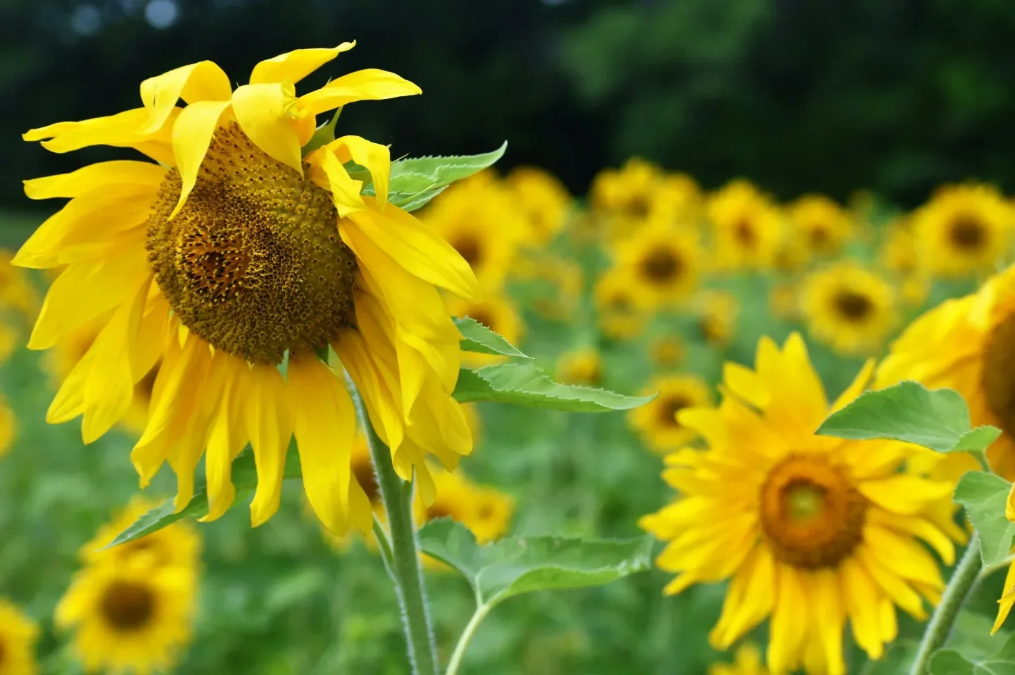 Are Your Worries, Fears and Trust Holding You Back After Divorce?